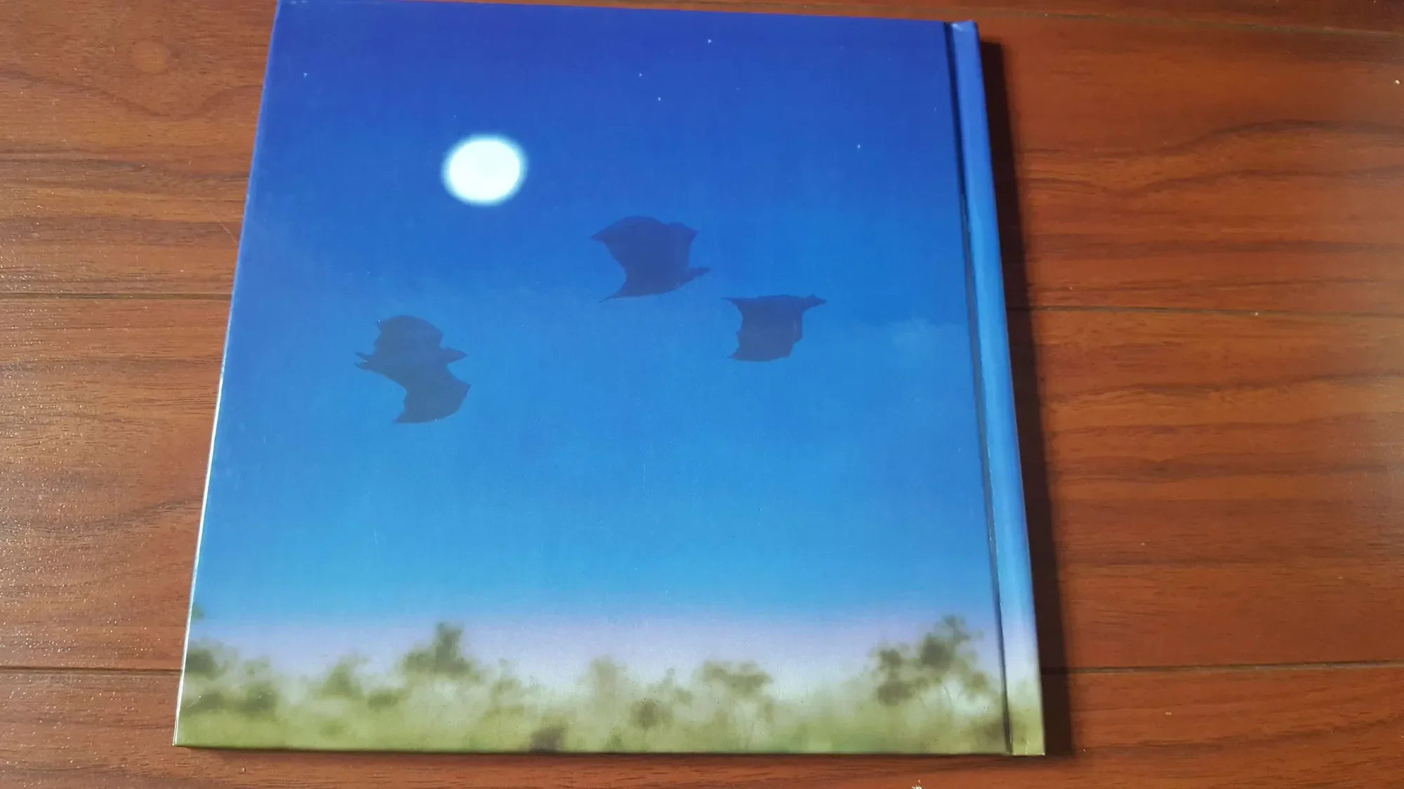 Stellaluna Children's Bat Story Book - photo 2