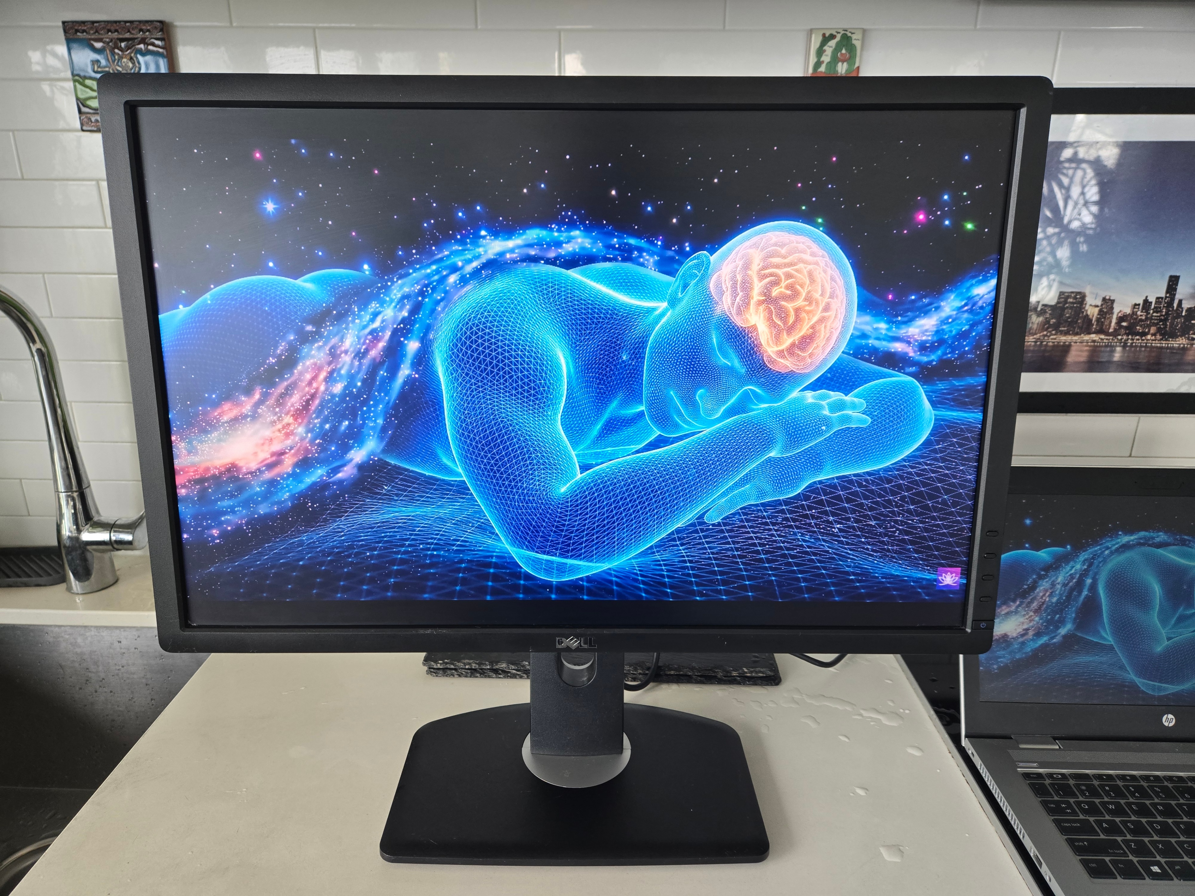 Dell UltraSharp U2412M 24" | Full HD+ 1920x1200 - photo 2