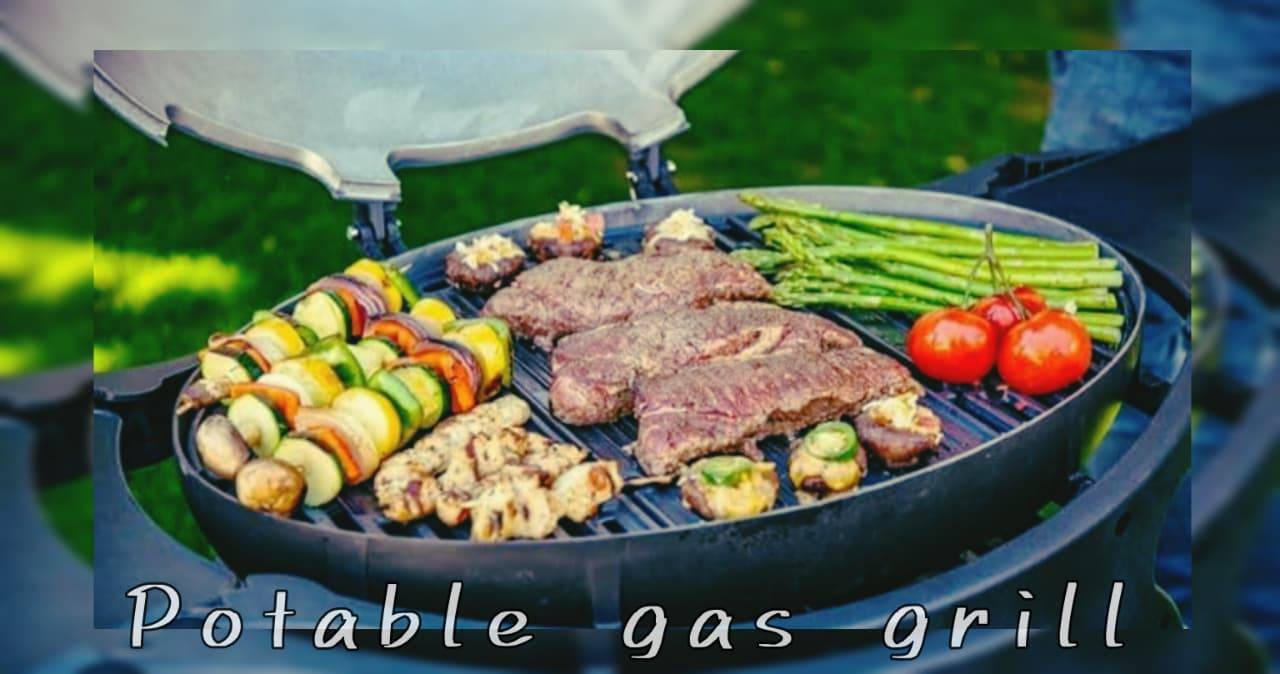 Portable Gas Grill - photo 2
