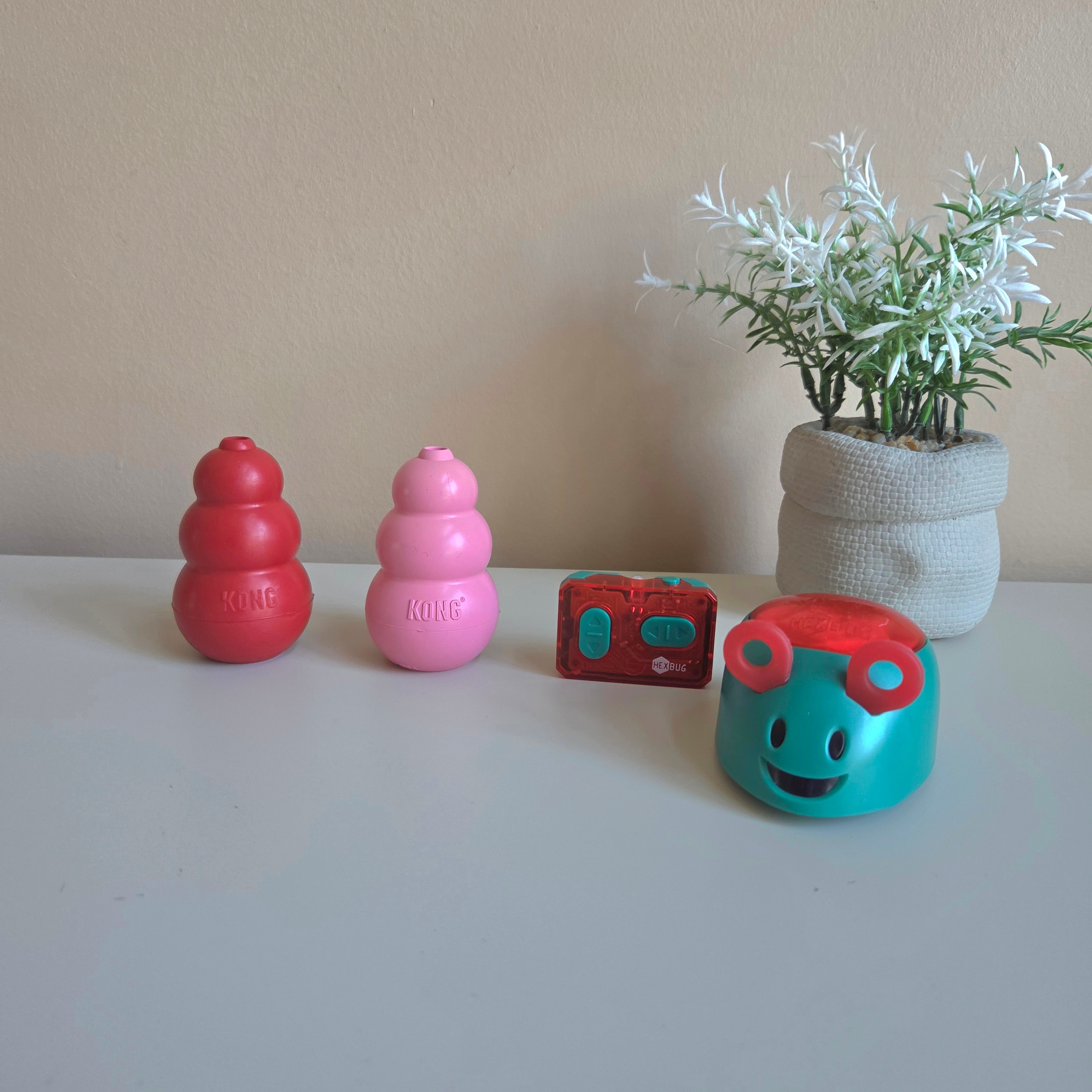 Dog Toys Bundle - Hexbug And Kong Toys - Pre-Loved! 🐶