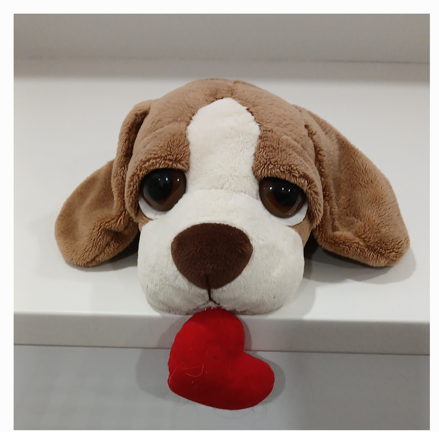 Brown and White Beagle Plush Dog with Red Heart, 12 in. Like New