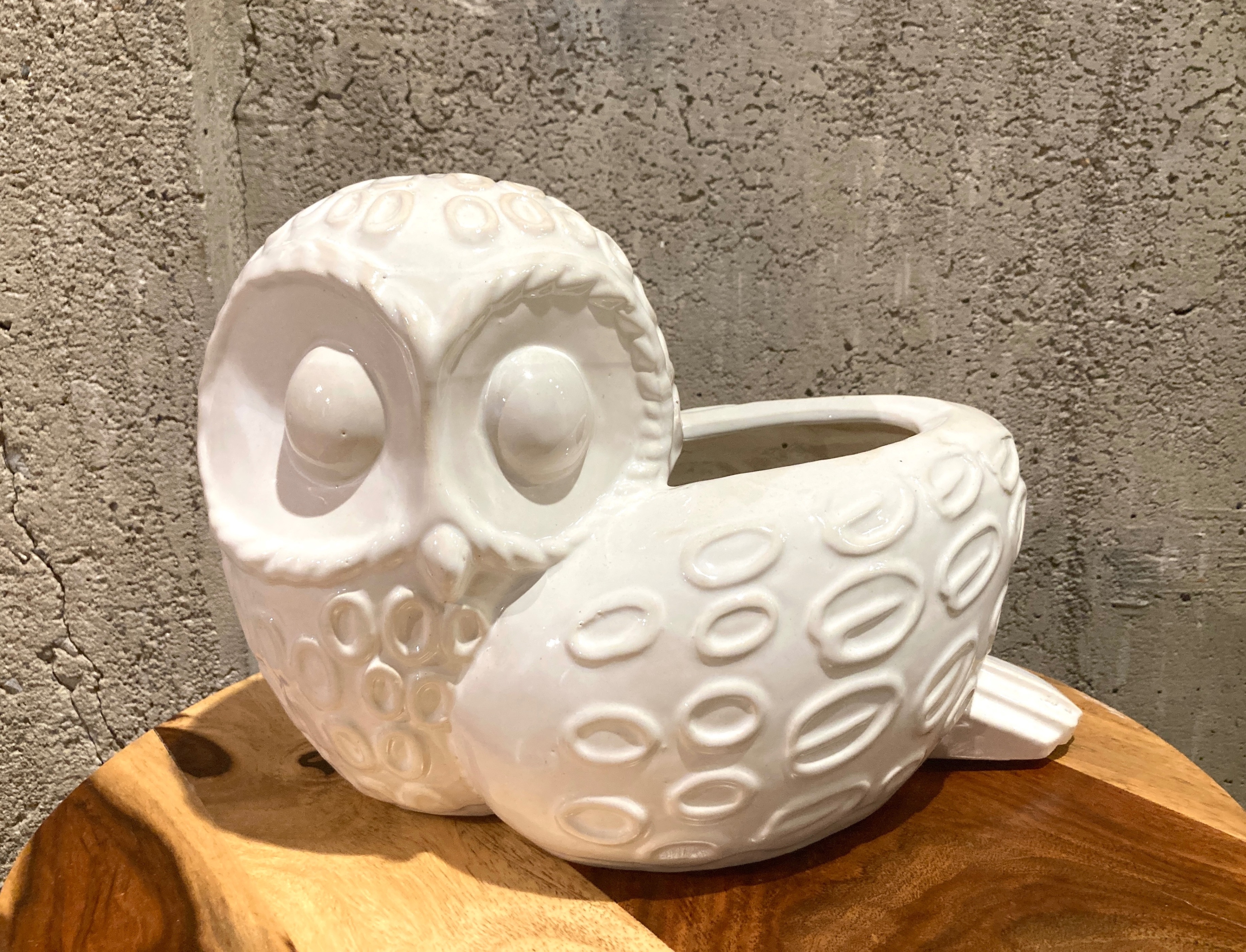 Ceramic Owl Flower Pot Garden Planter Cream White Indoor/Outdoor