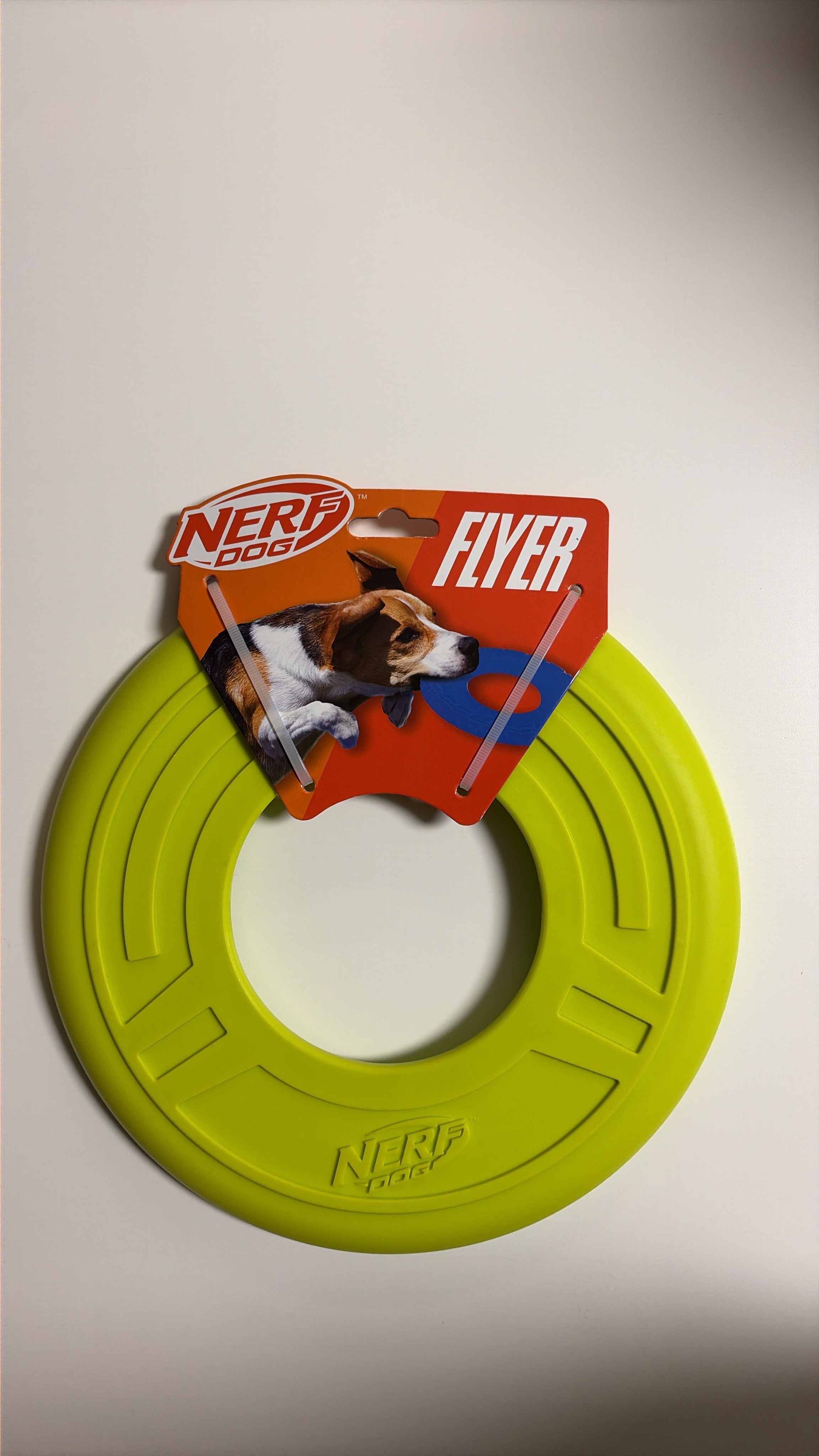 BRAND NEW Nerf Dog Atomic Flyer 10" Flying Disc Toy (Green)