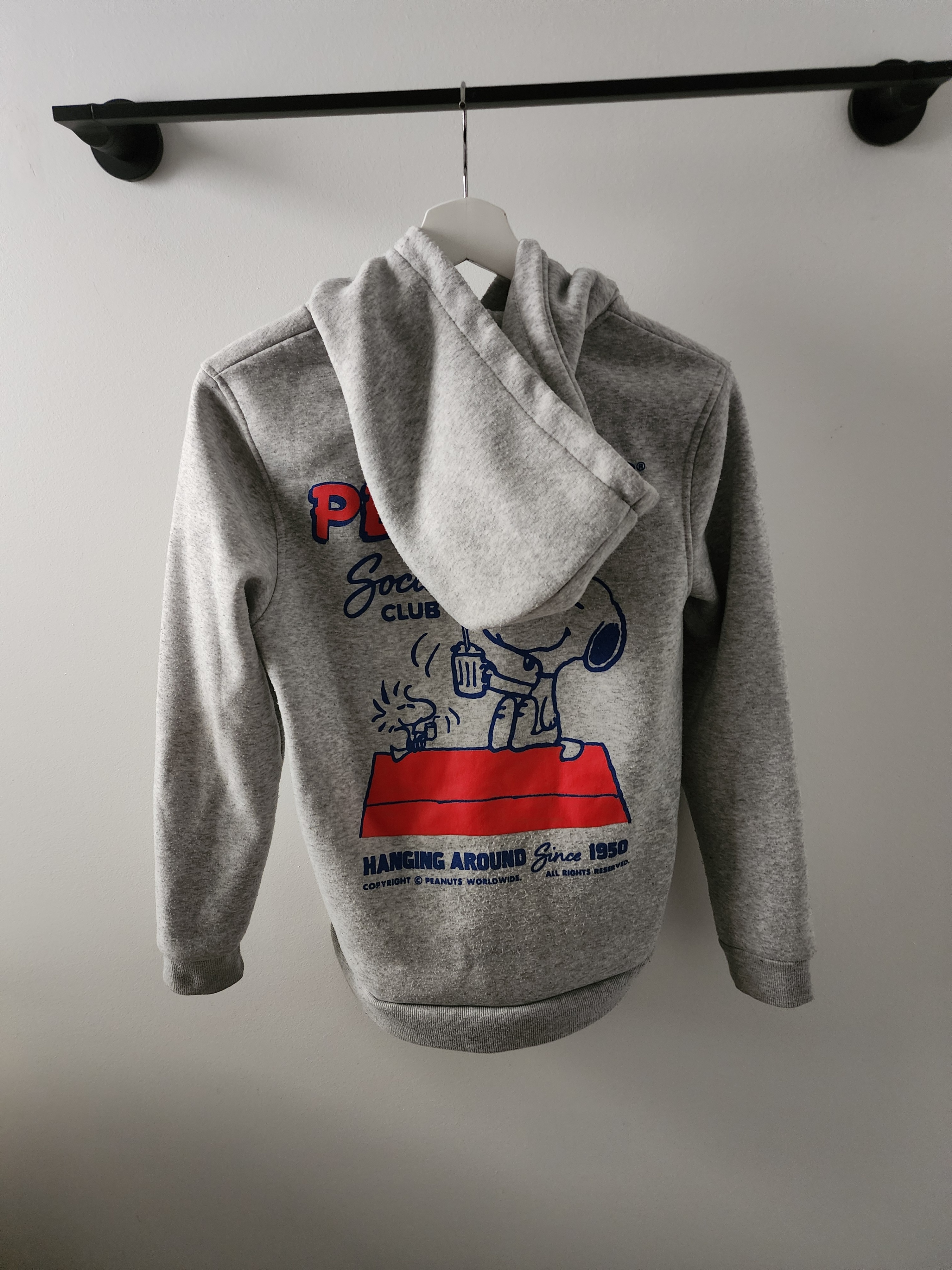 Teen age 14+ Large hoodie can fit small adult unisex - photo 2