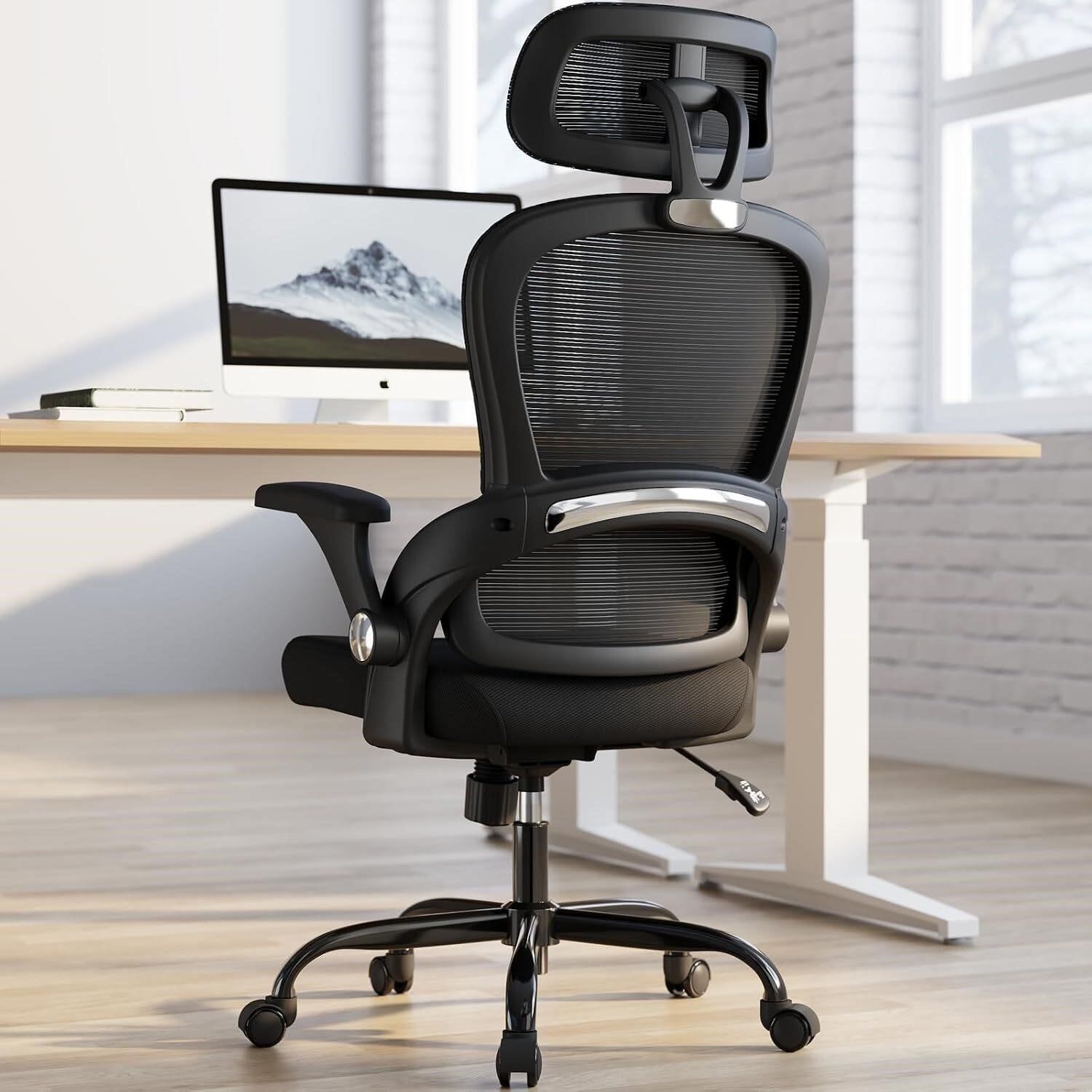 BIEMA Ergonomic Mesh Office Chair