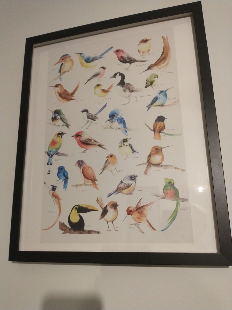 Unique birds print in frame
