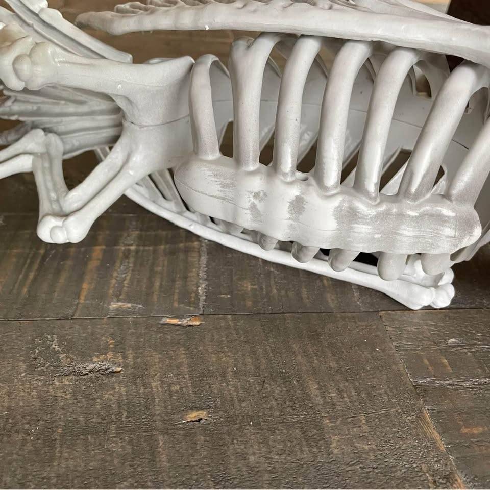 NEW - skeleton vulture with moving neck - Halloween - photo 3