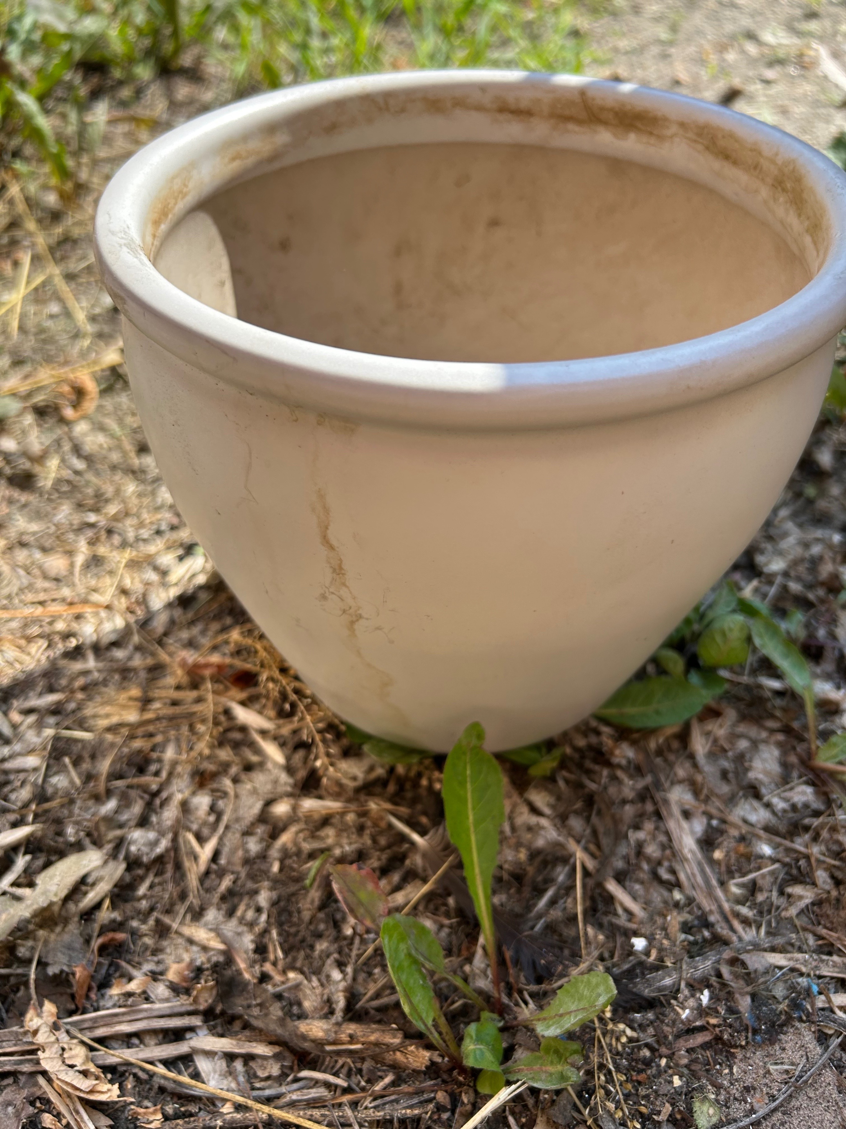 IKEA Plant Pots