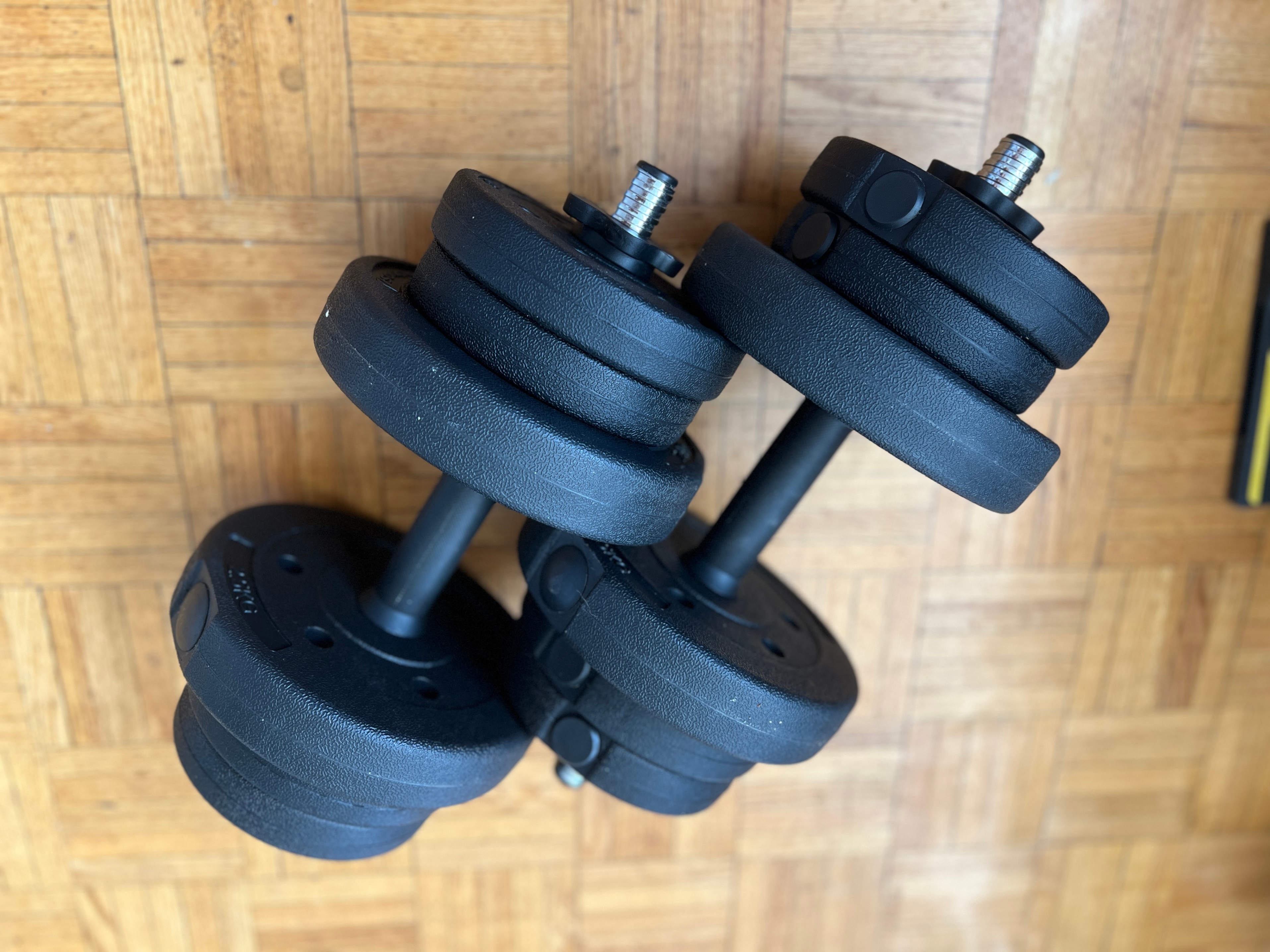 44lb Adjustable Dumbbells
