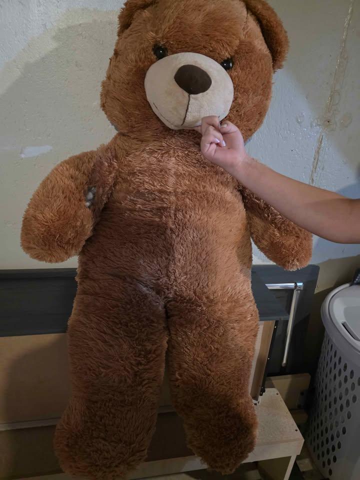 Giant Teddy Bear Big Soft Plush Animal FAST PICK UP