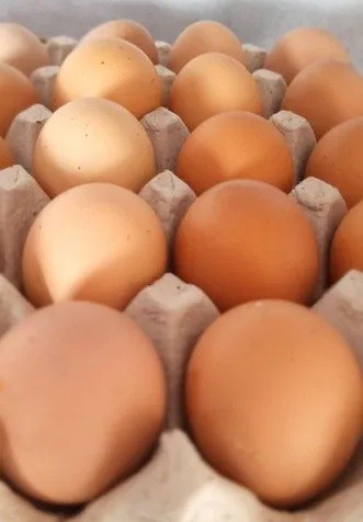 Brown eggs. Pick up in Downtown area - photo 4