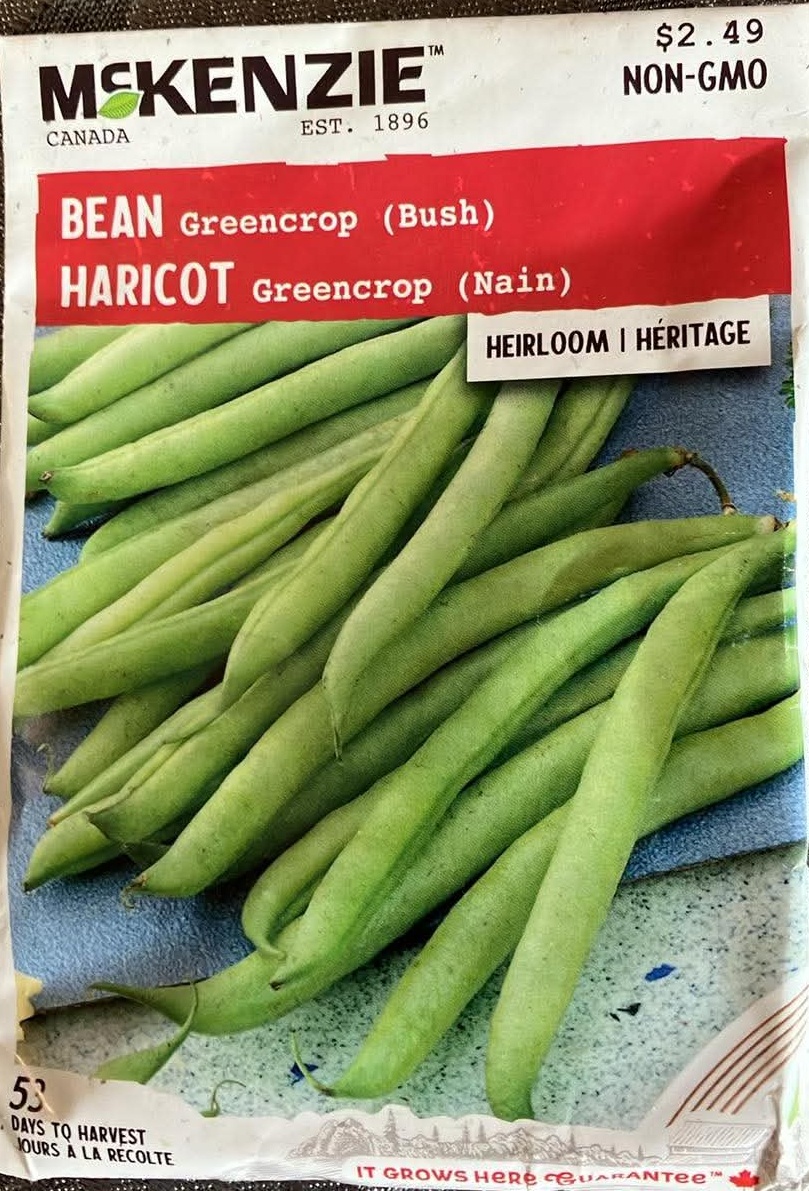 Bean Greencrop Seeds