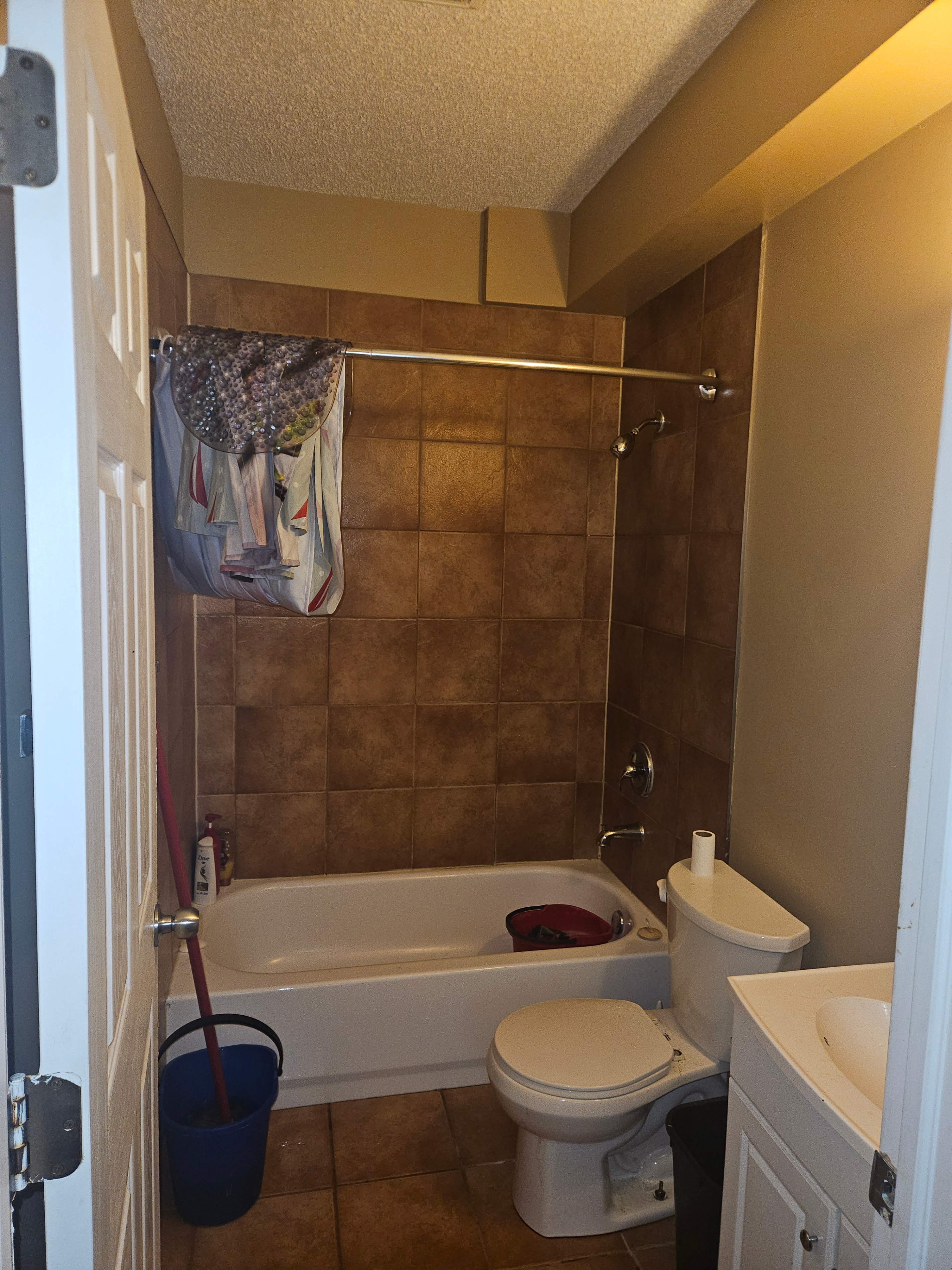 QUIET LARGE ROOM FOR RENT @113 AVE , 96ST ---AVAILABLE ASAP !! - photo 4