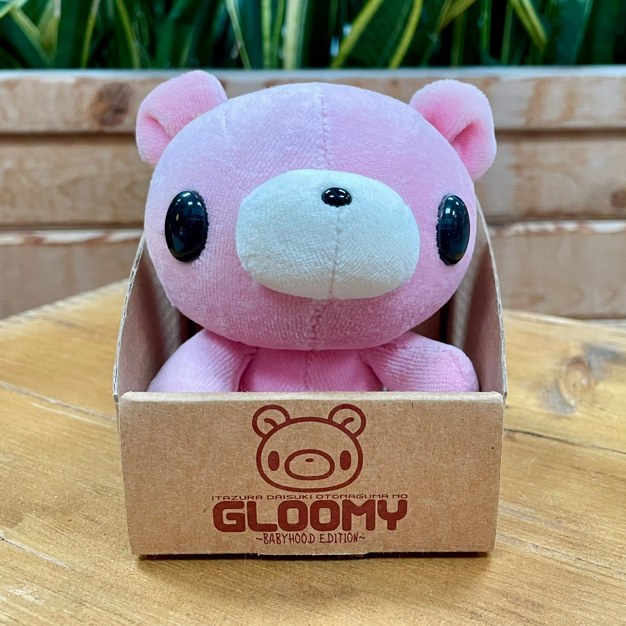 Gloomy Bear Plush Babyhood Edition in Box
