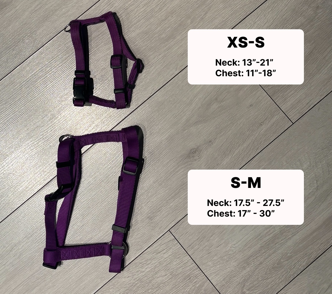Puppy Harnesses and Leash