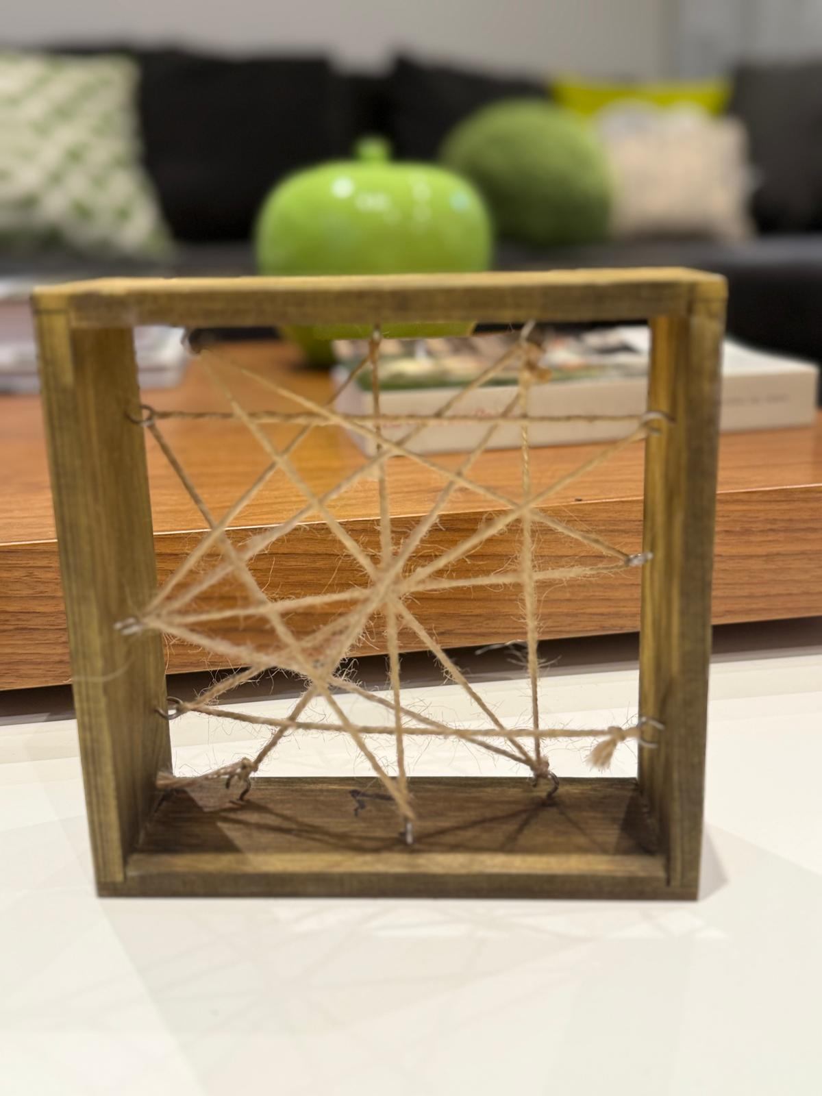 Air Plant in Wooden Wall Hanger - photo 4