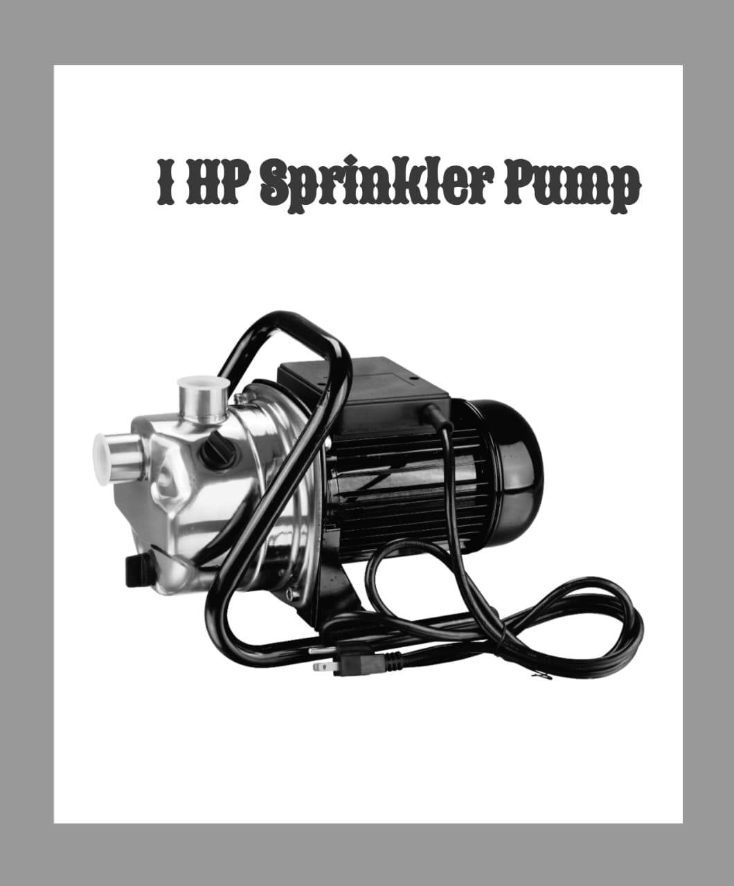 1 HP Sprinkler Pump - photo 2
