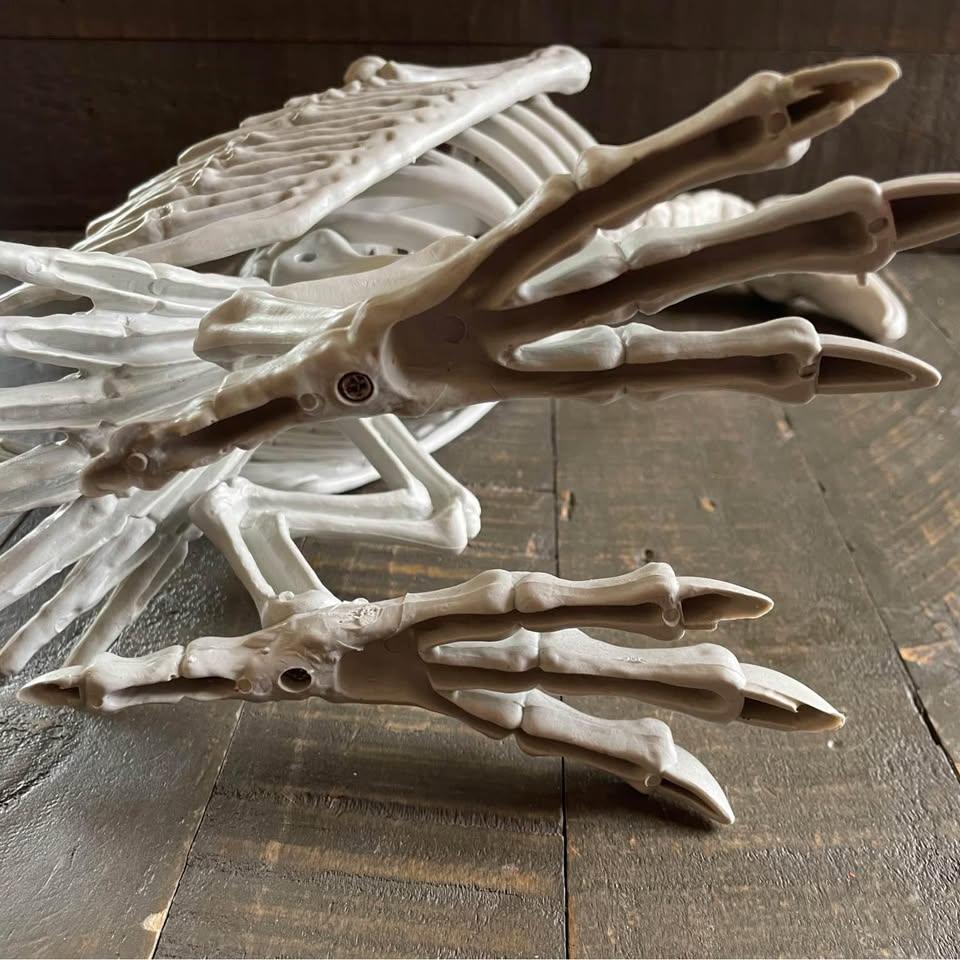 NEW - skeleton vulture with moving neck - Halloween - photo 5