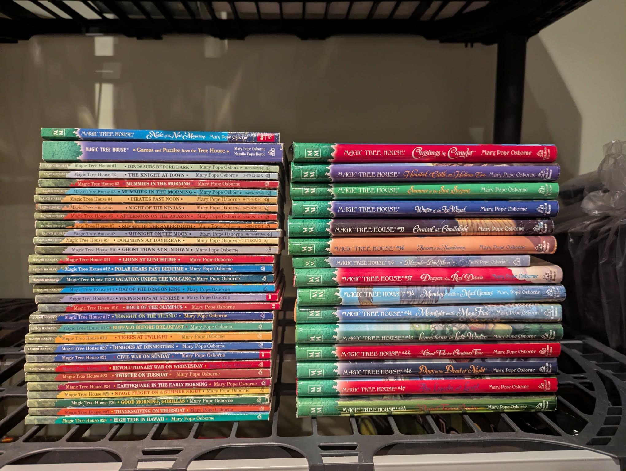 Magic Tree House series (almost full set)