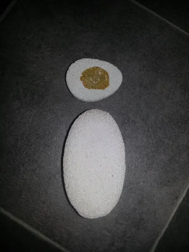 Pumice Stones -- LITTLE ONE HAS BEEN TRADED (Big one remains) - photo 4
