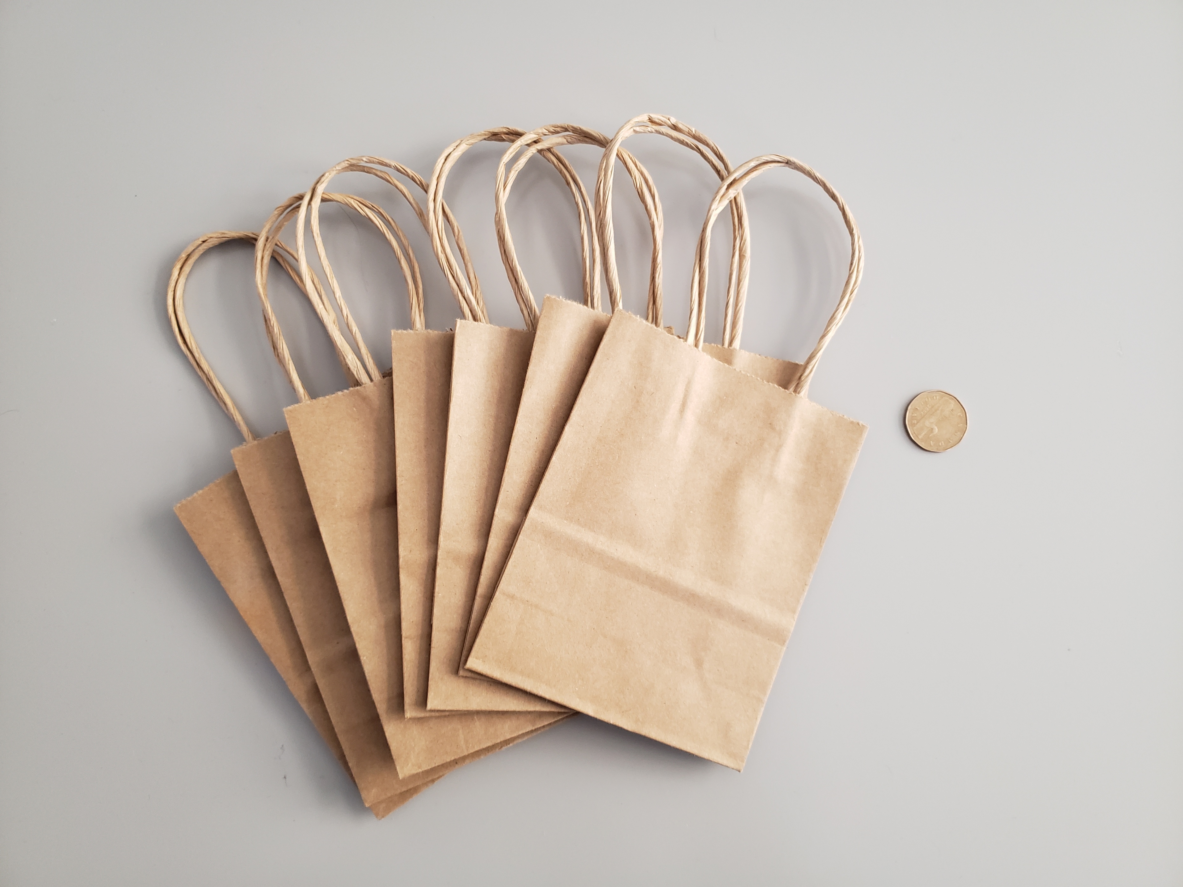 7 Mini Kraft Bags