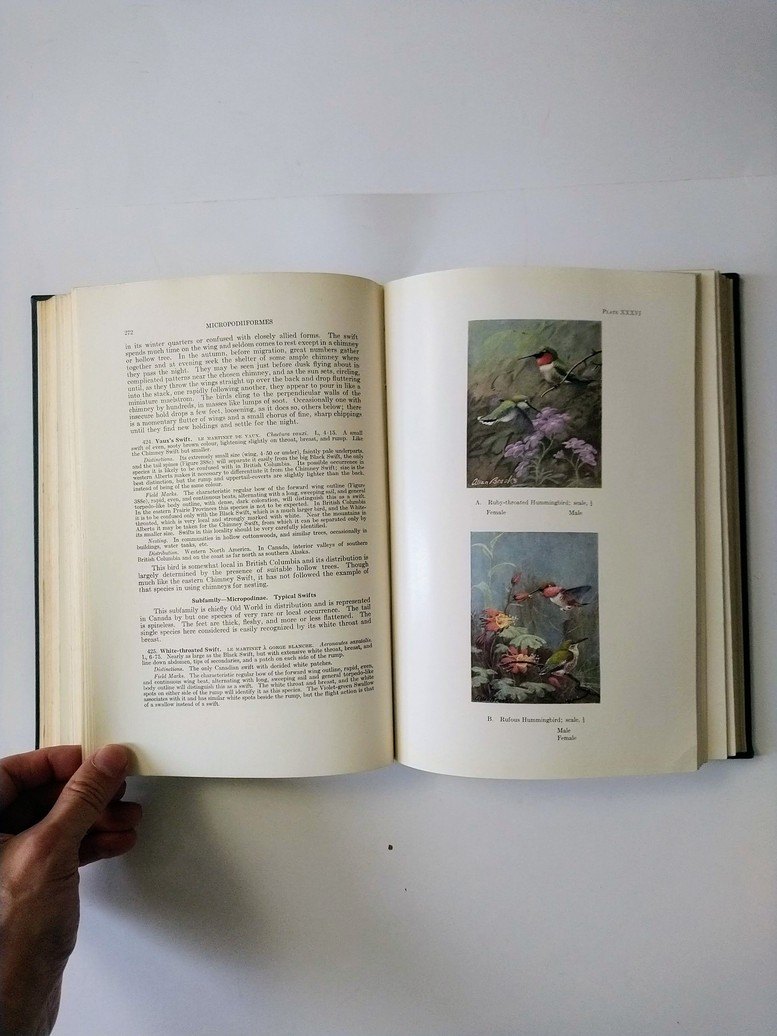 Bird Lover books! - photo 5