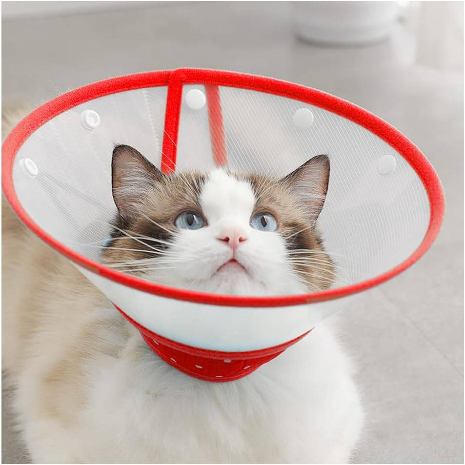 Andiker Adjustable Pet Recovery Cone – SMALL – Dog & Cat - photo 5