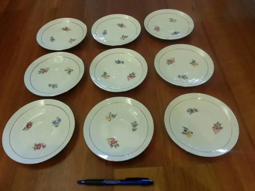 Pretty Gold-Rimmed Floral Pattern German "China" Plates (Set ...