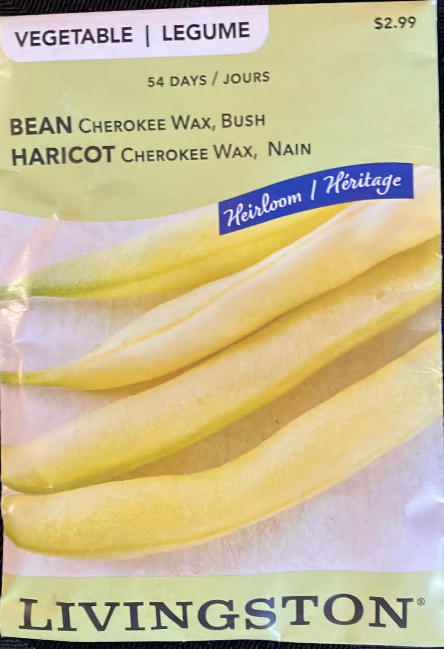 Bean Cherokee Wax Bush Seeds