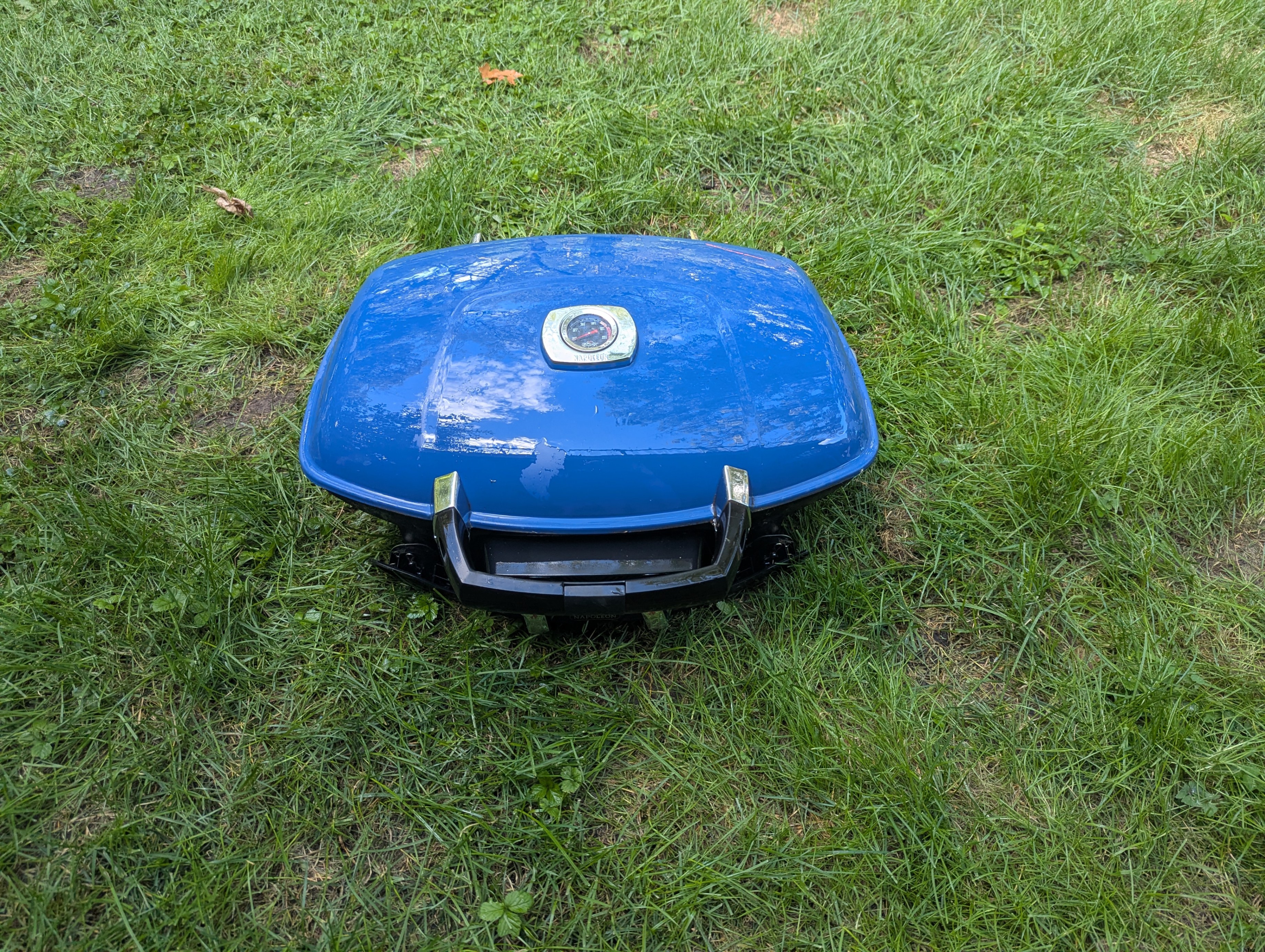 Weber Q Portable Grill