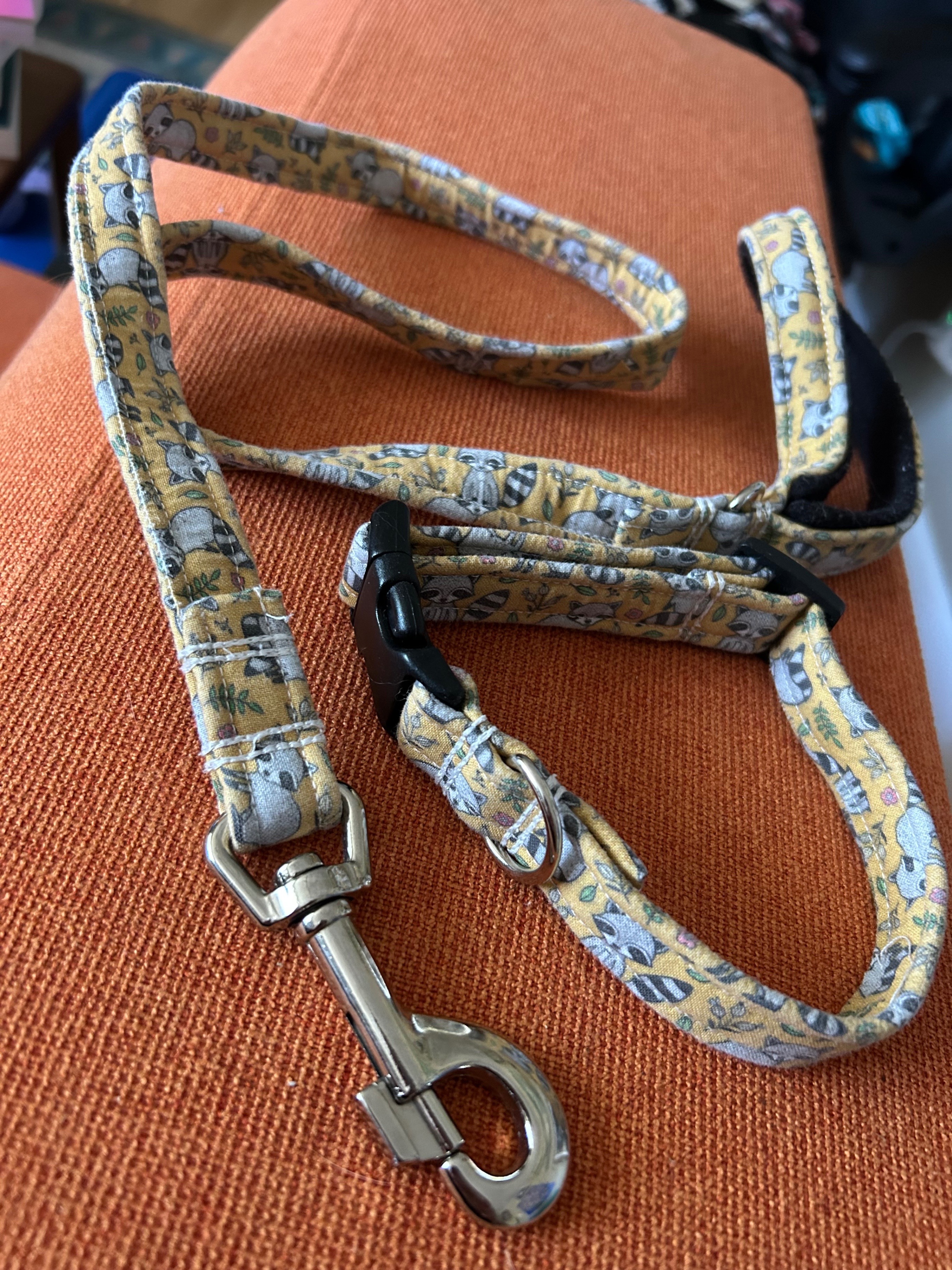 Matching Set - Racoon/Yellow Fabric Dog Collar and Lead