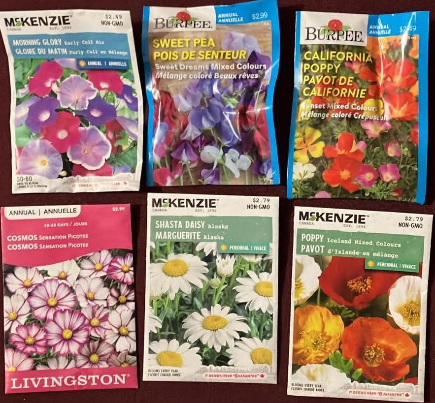 Flower Seeds - Morning Glory Sweet Pea California Poppy