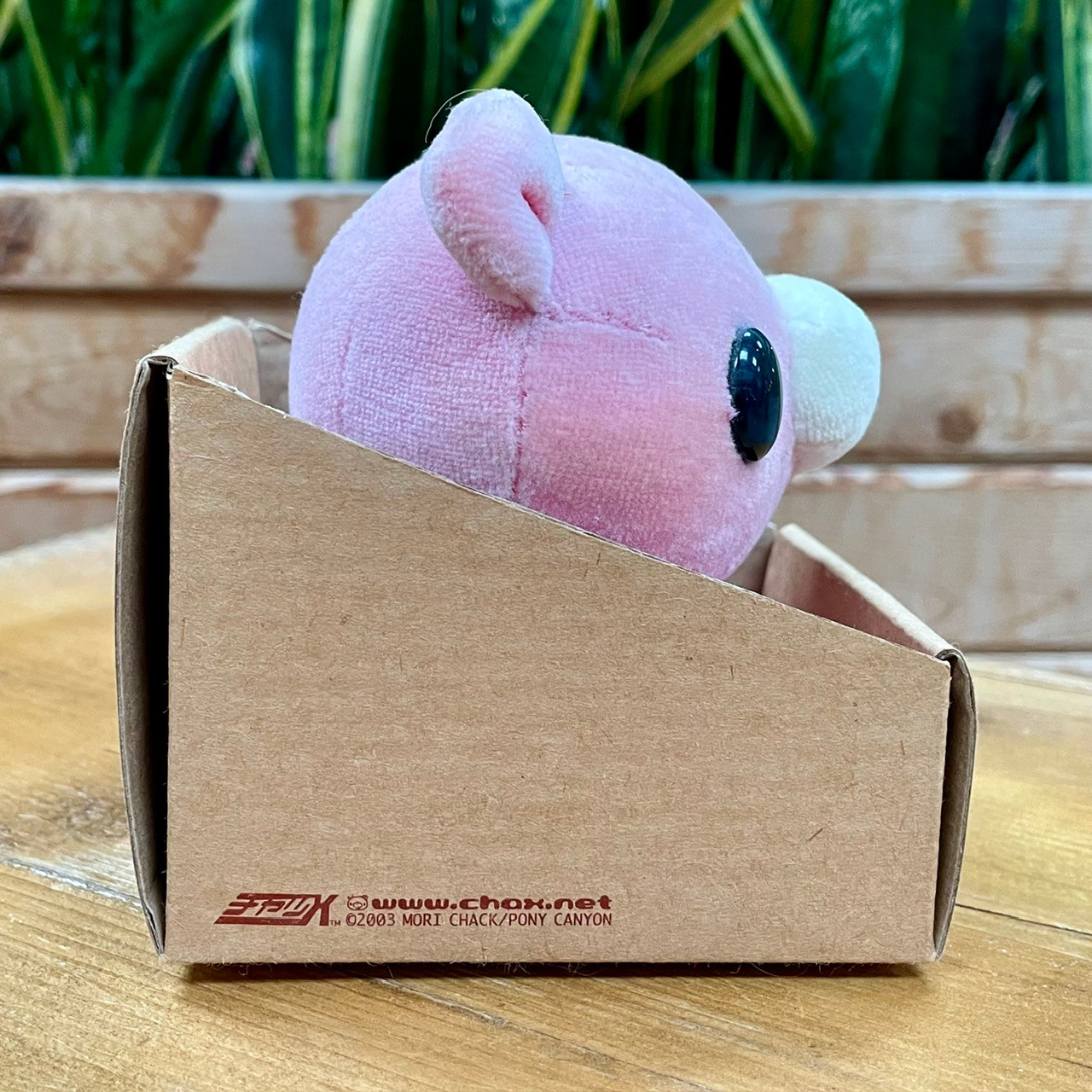 Gloomy Bear Plush Babyhood Edition in Box - photo 2