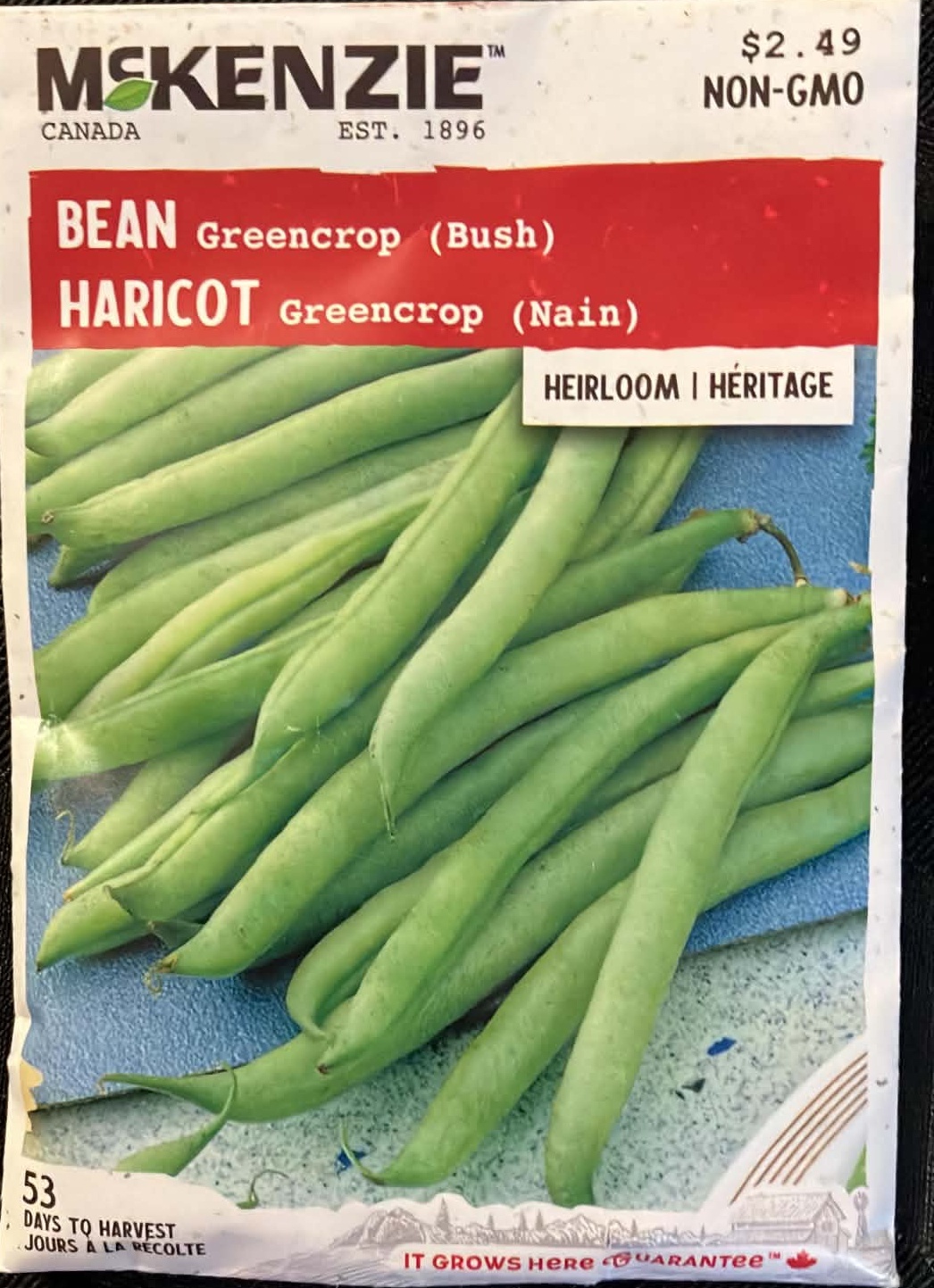 Bean Greencrop Seeds