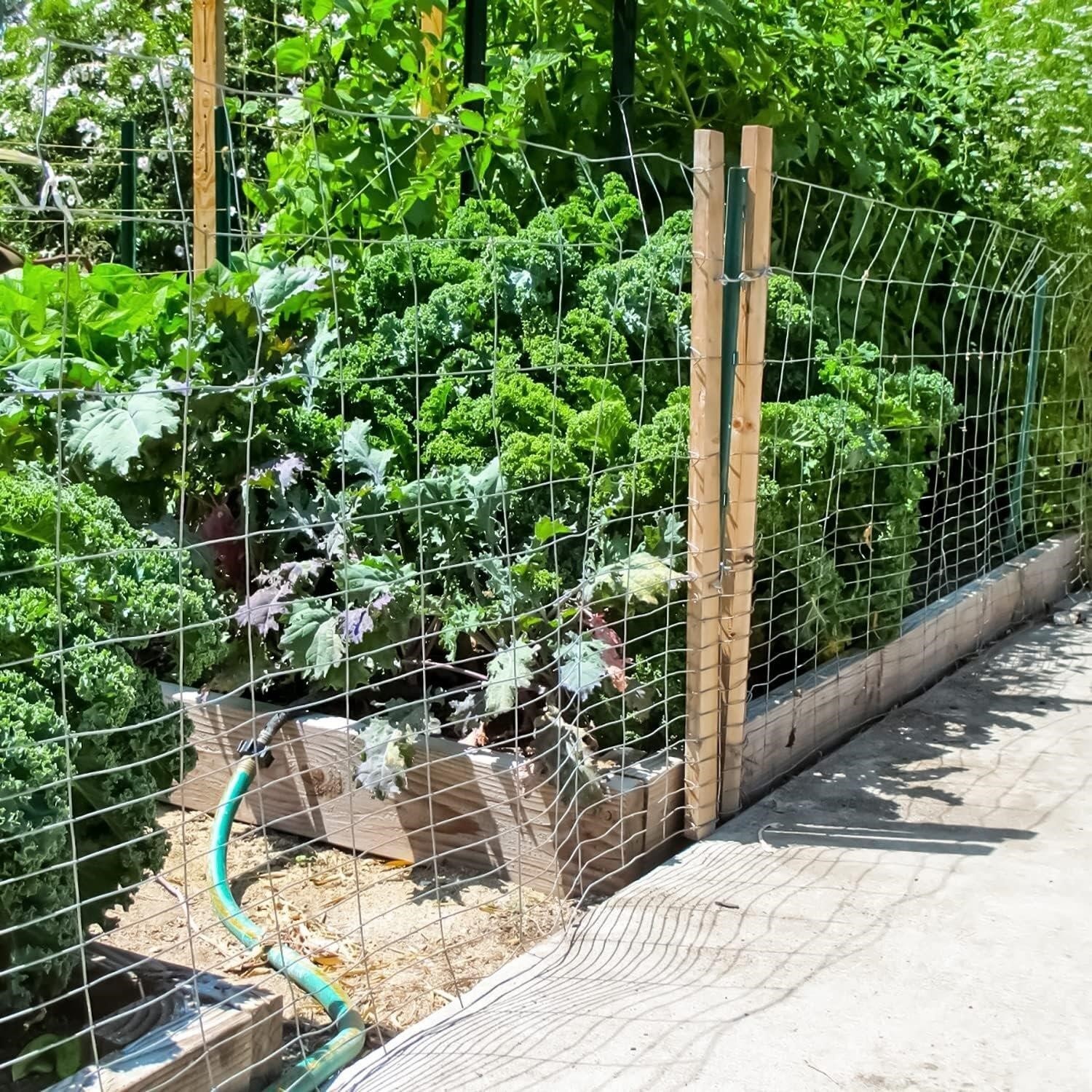 Gauge Welded Wire Fence