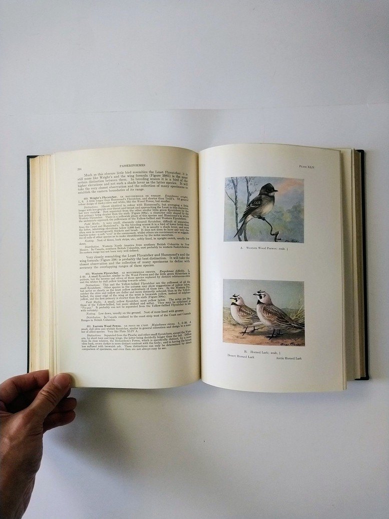 Bird Lover books! - photo 4