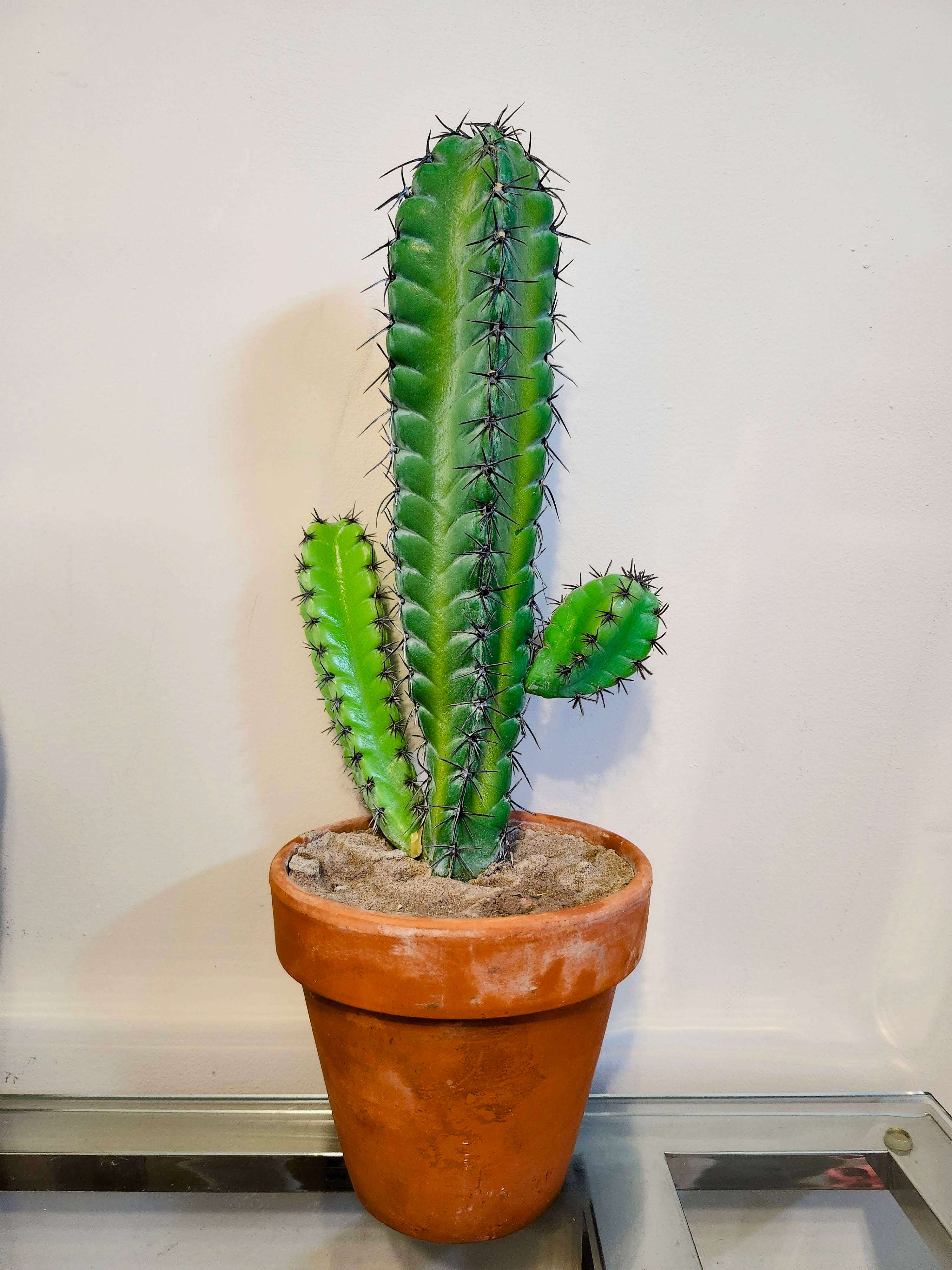 Gently Used Artificial Cactus Succulent Plant / Faux Plant - photo 4