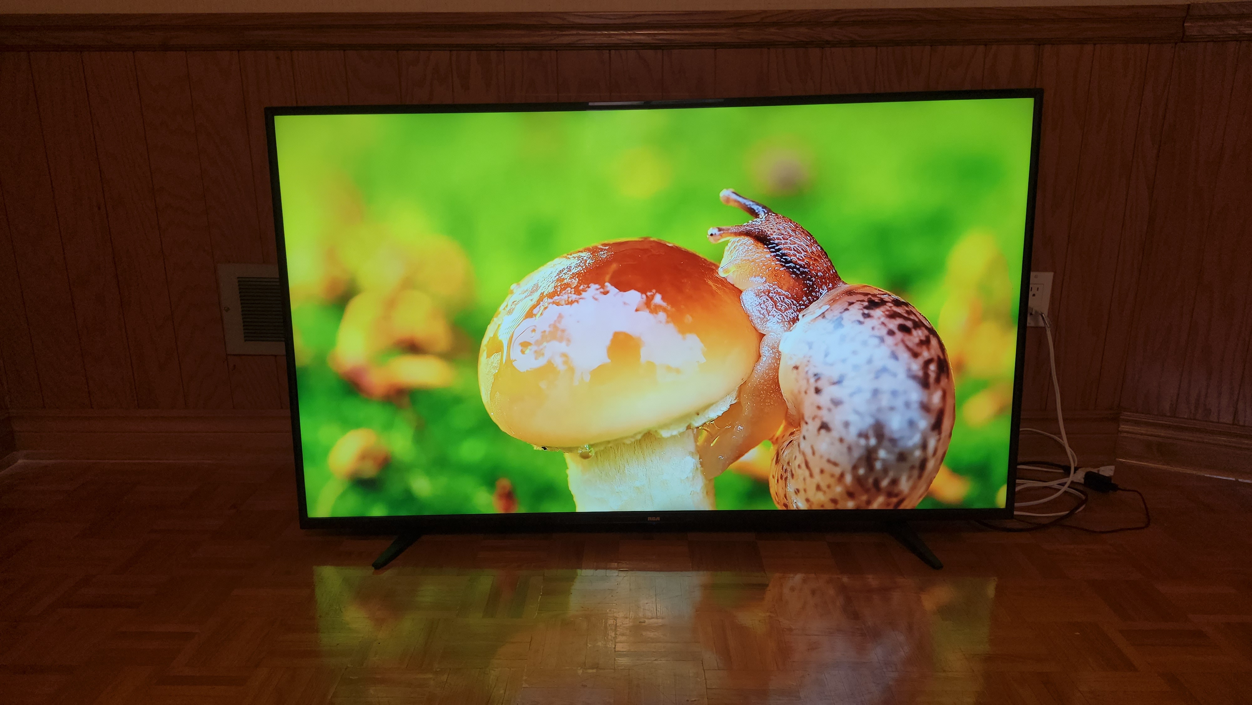 RCA 4K Ultra HD Smart TV - photo 4
