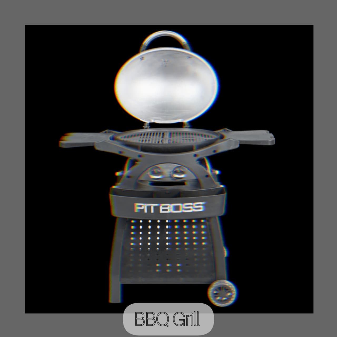Outdoor Gas BBQ Grill