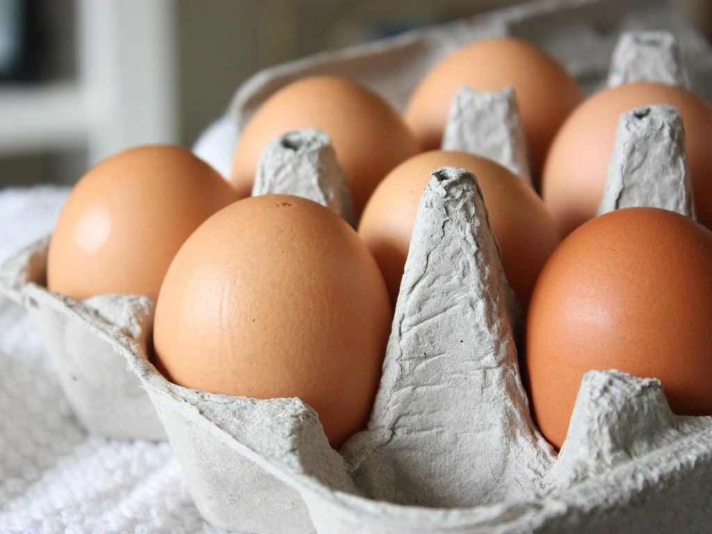 Brown eggs. Pick up in Downtown area - photo 3