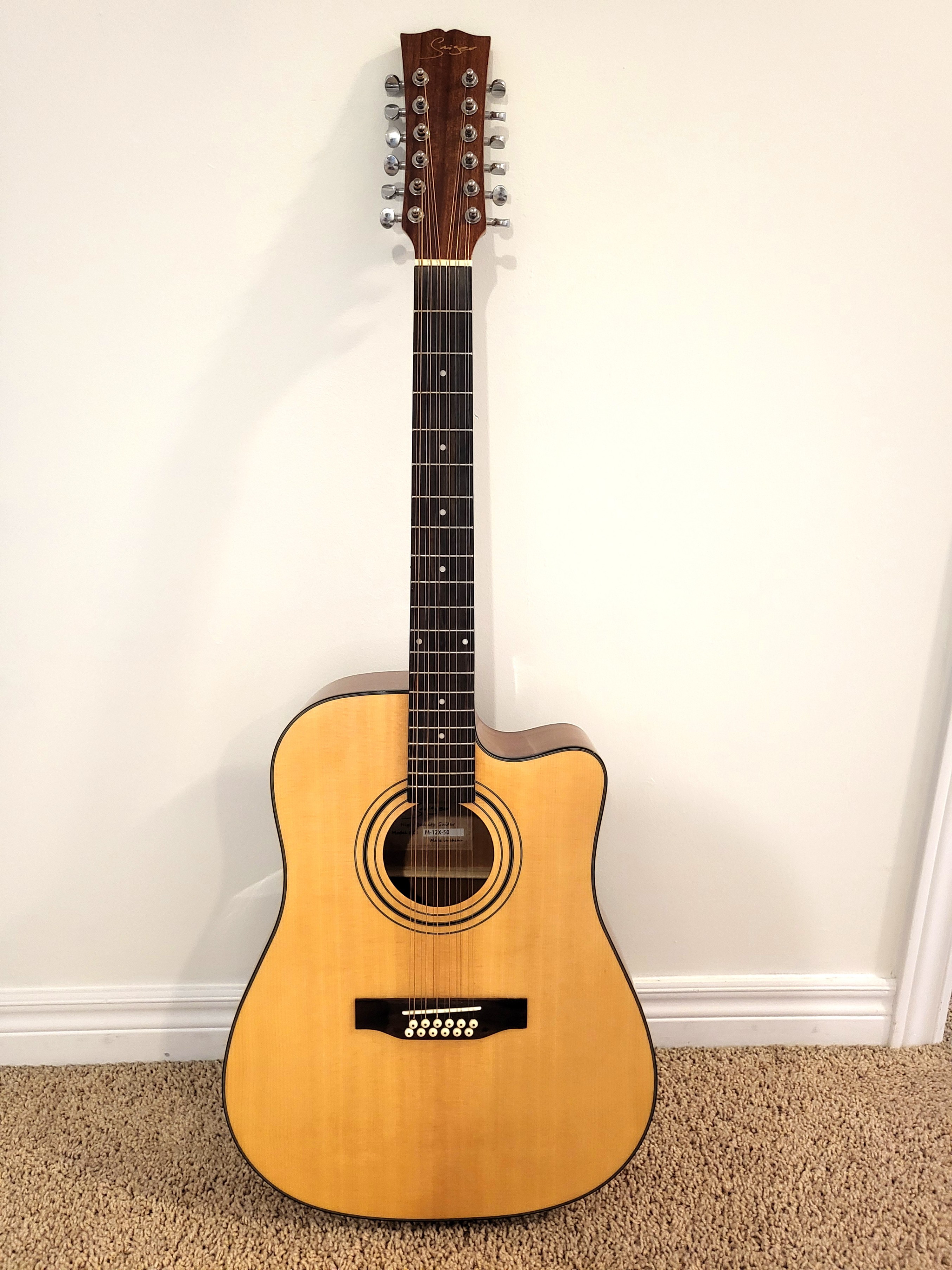 Brand New 12-String Acoustic Guitar