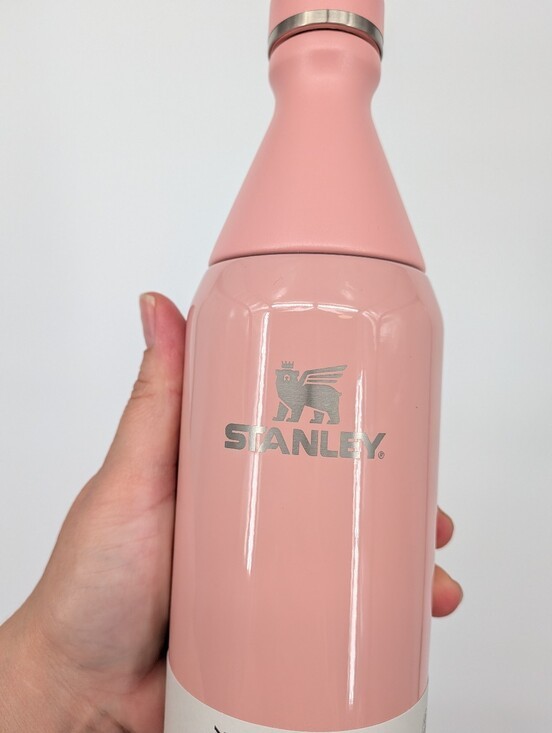 Stanley School Slim Bottle - 20 Oz - photo 4