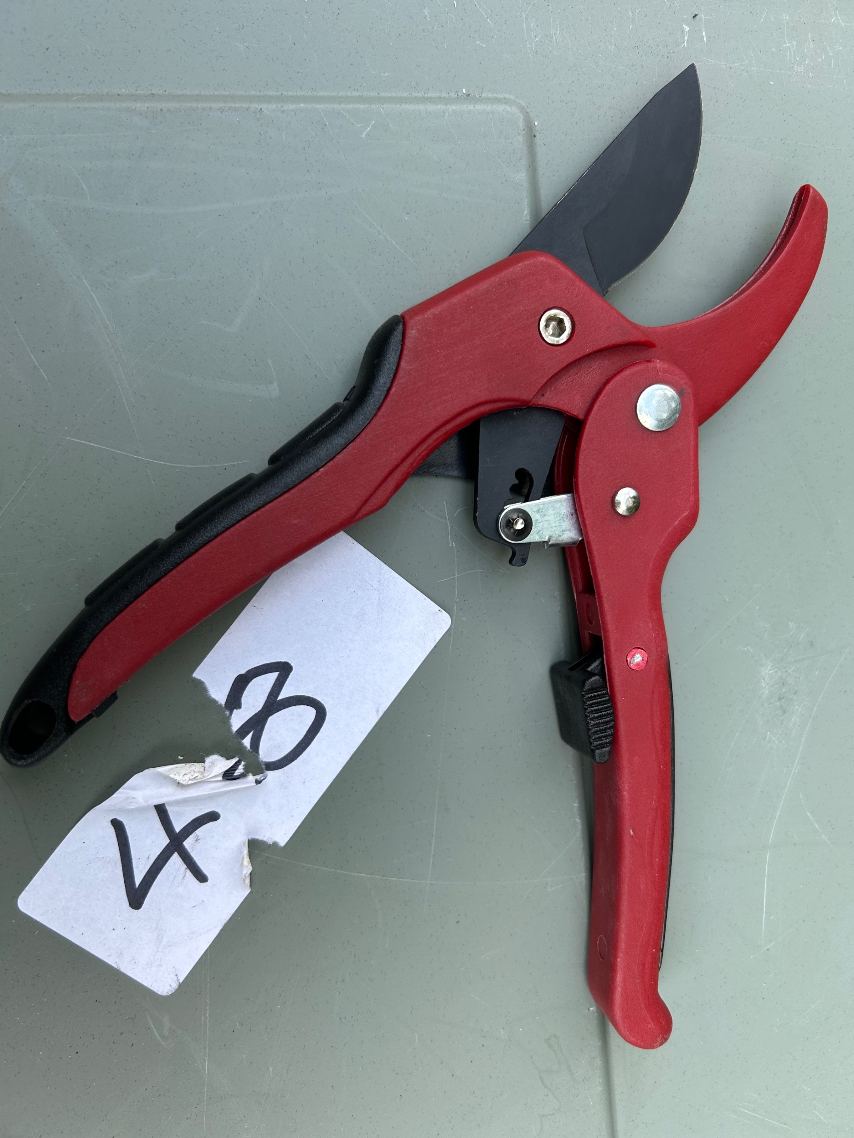 Darlac Garden Shears/Lopers - photo 2