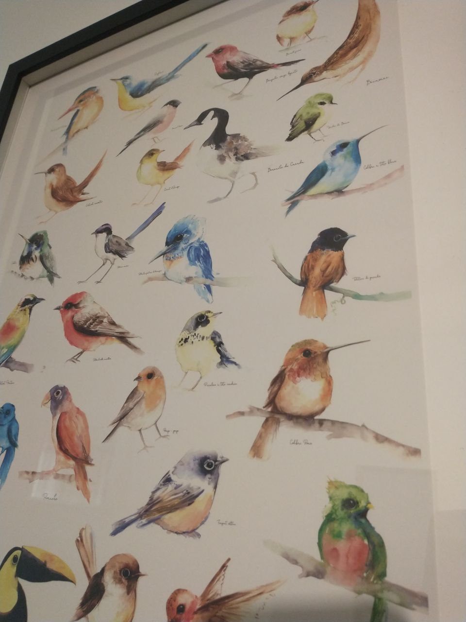 Unique birds print in frame - photo 2