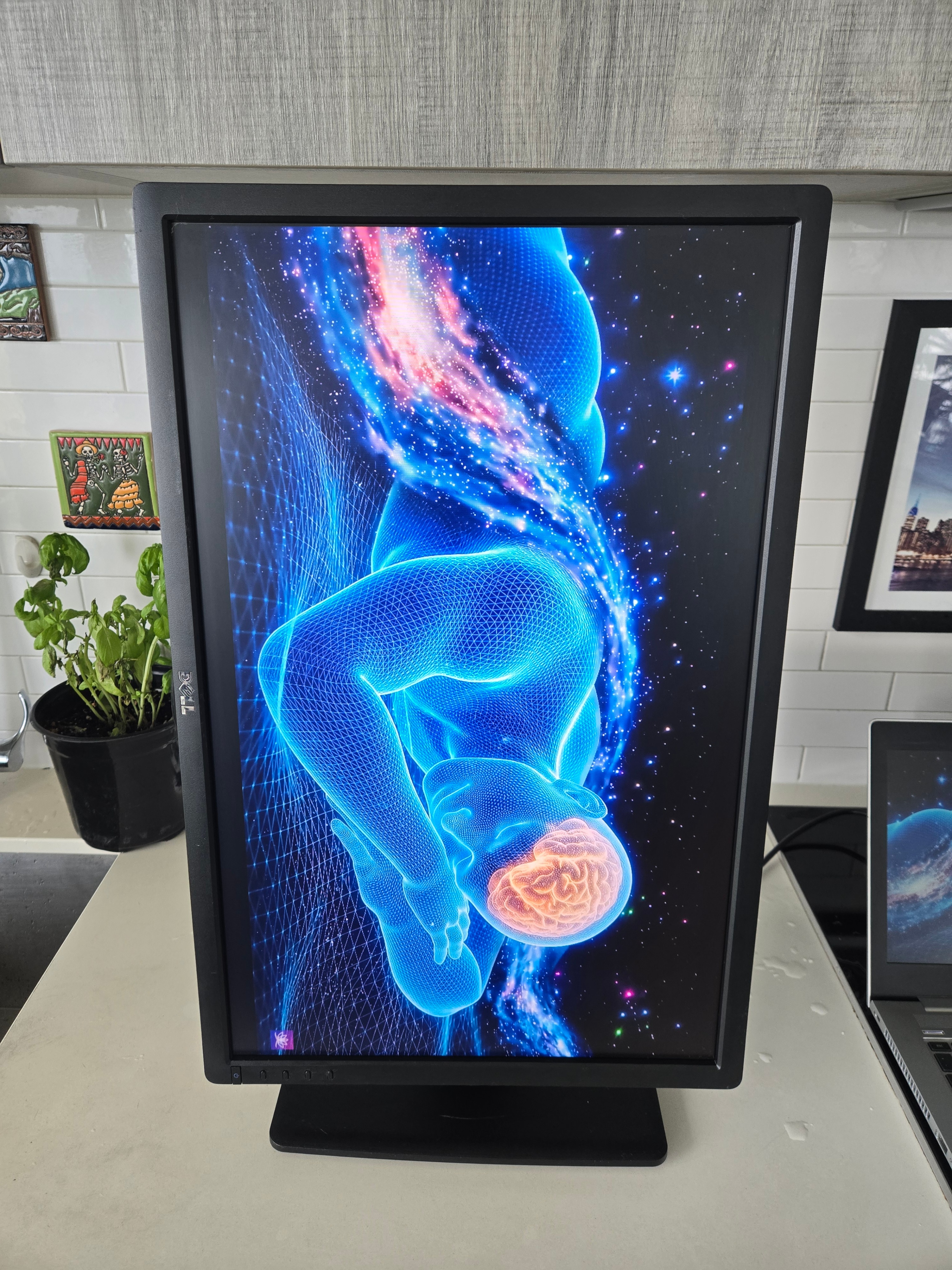 Dell UltraSharp U2412M 24" | Full HD+ 1920x1200 - photo 5