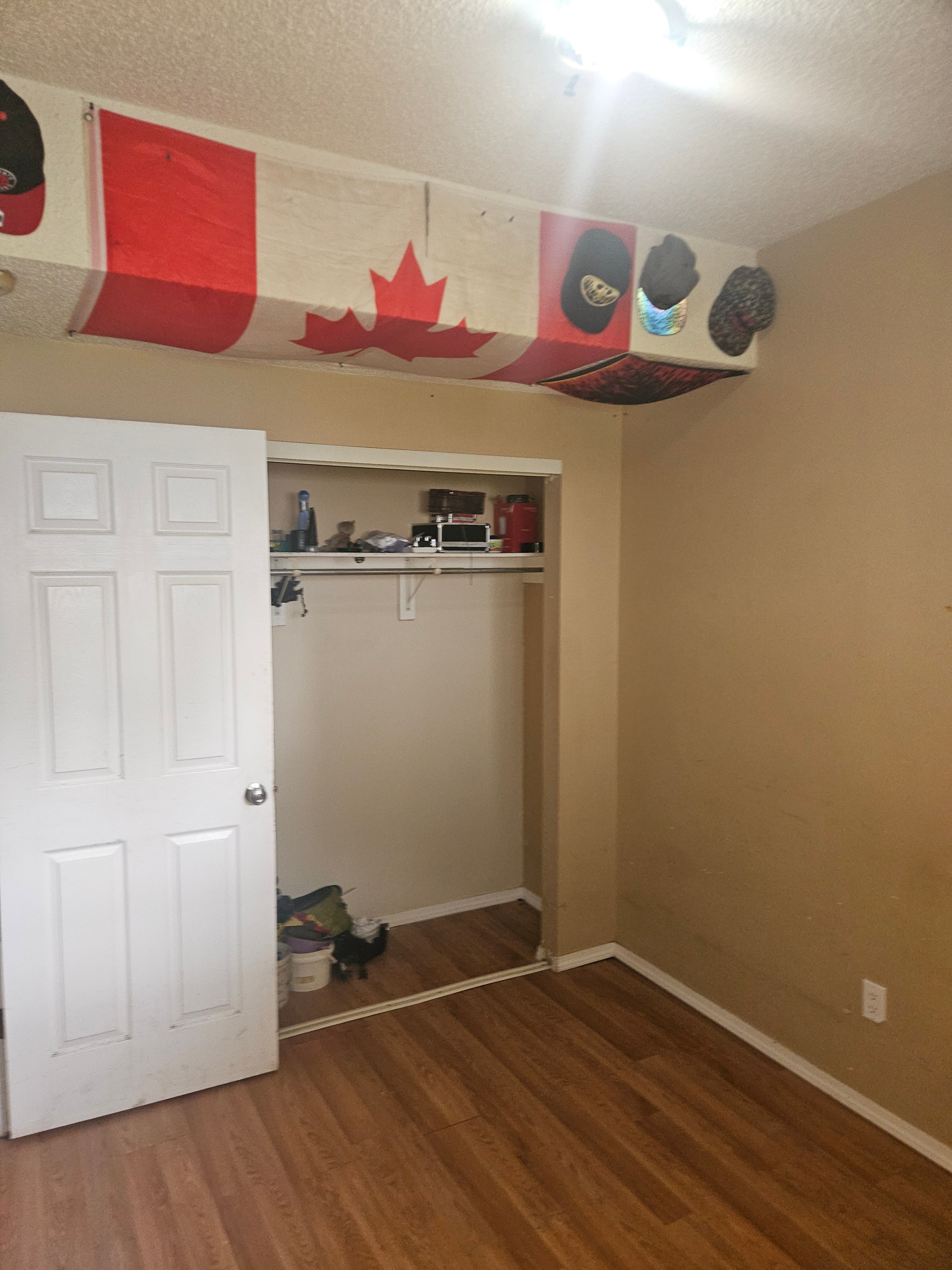 QUIET LARGE ROOM FOR RENT @113 AVE , 96ST ---AVAILABLE ASAP !! - photo 2