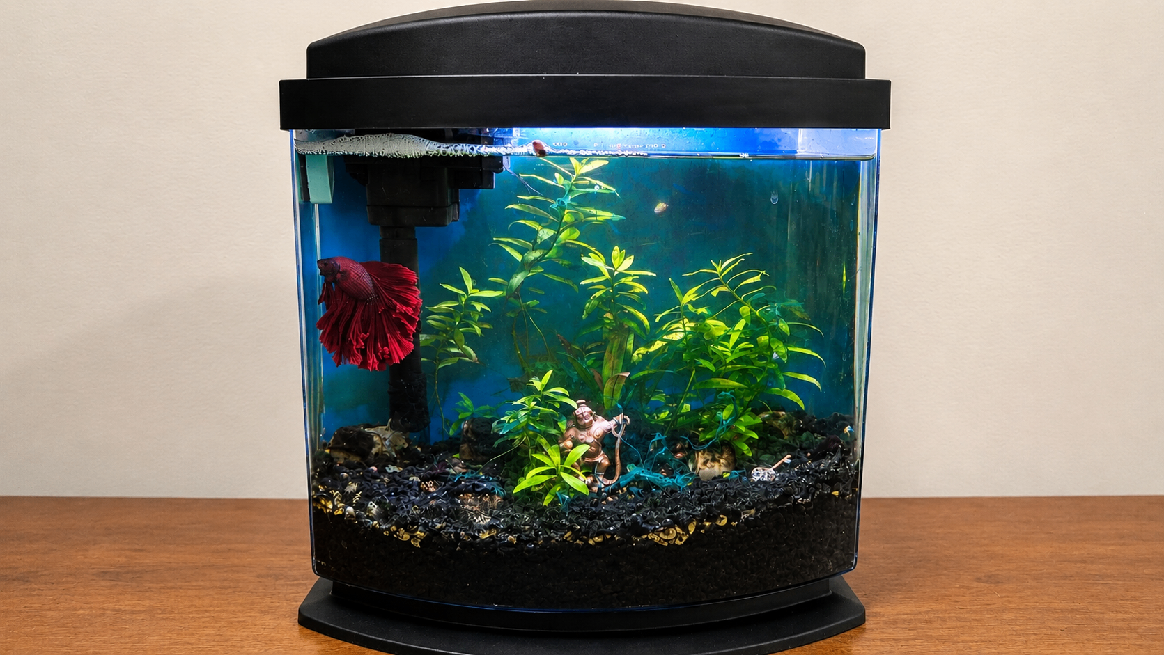 Complete 2.5G Planted Nano Aquarium Setup w/ Red Betta Fish