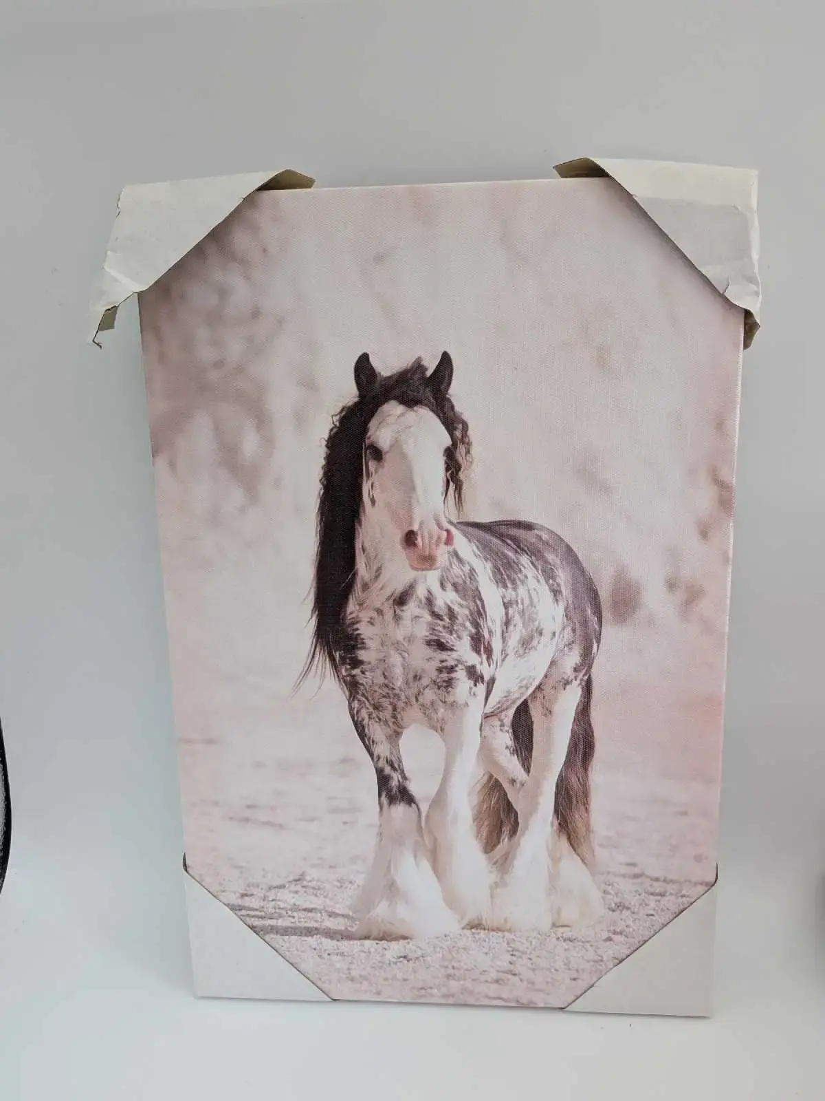 Canvas Wall Art Horse 18" x 12"