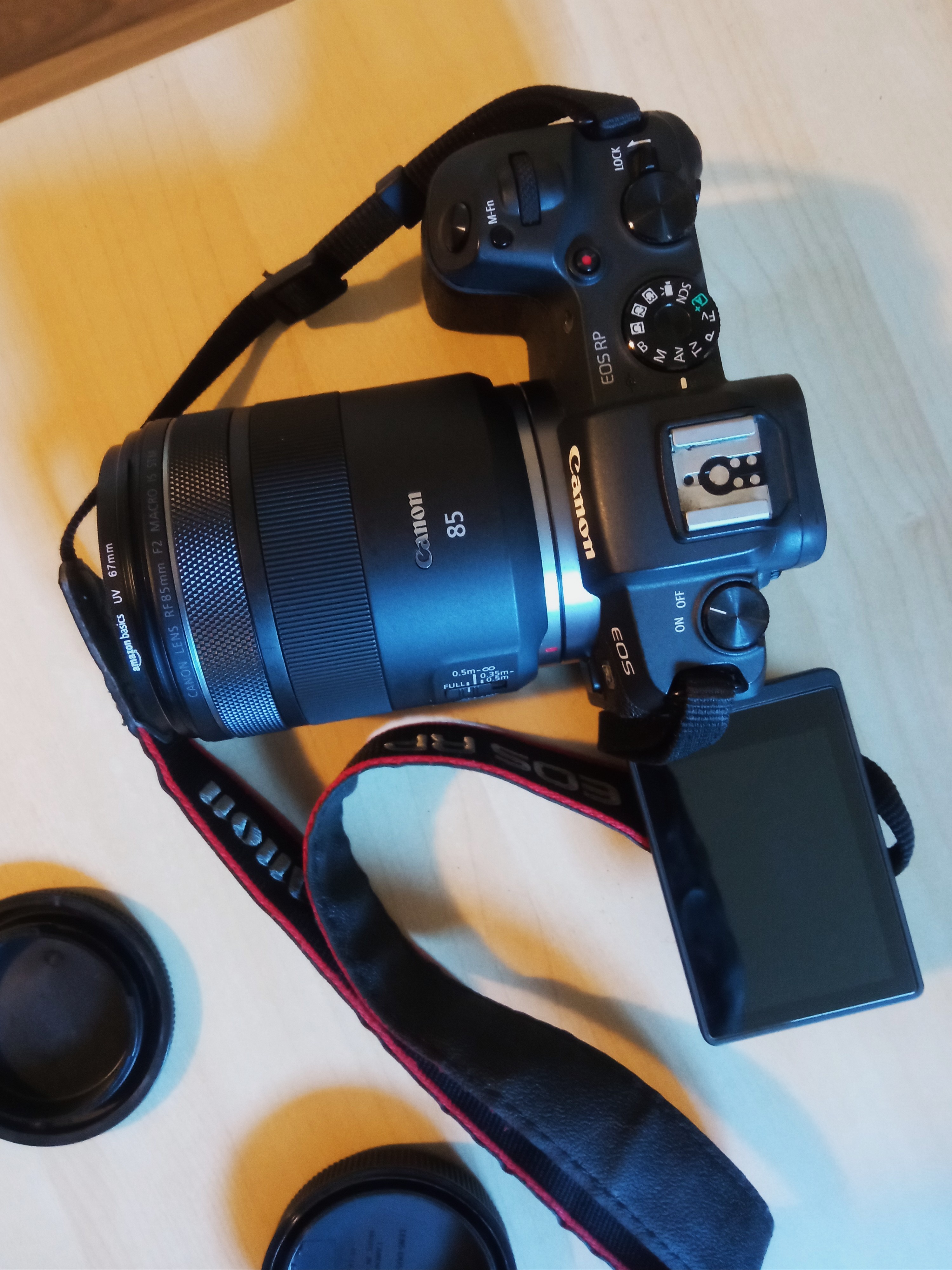 Canon EOS RP + Canon RF 85mm f/2 Macro IS STM