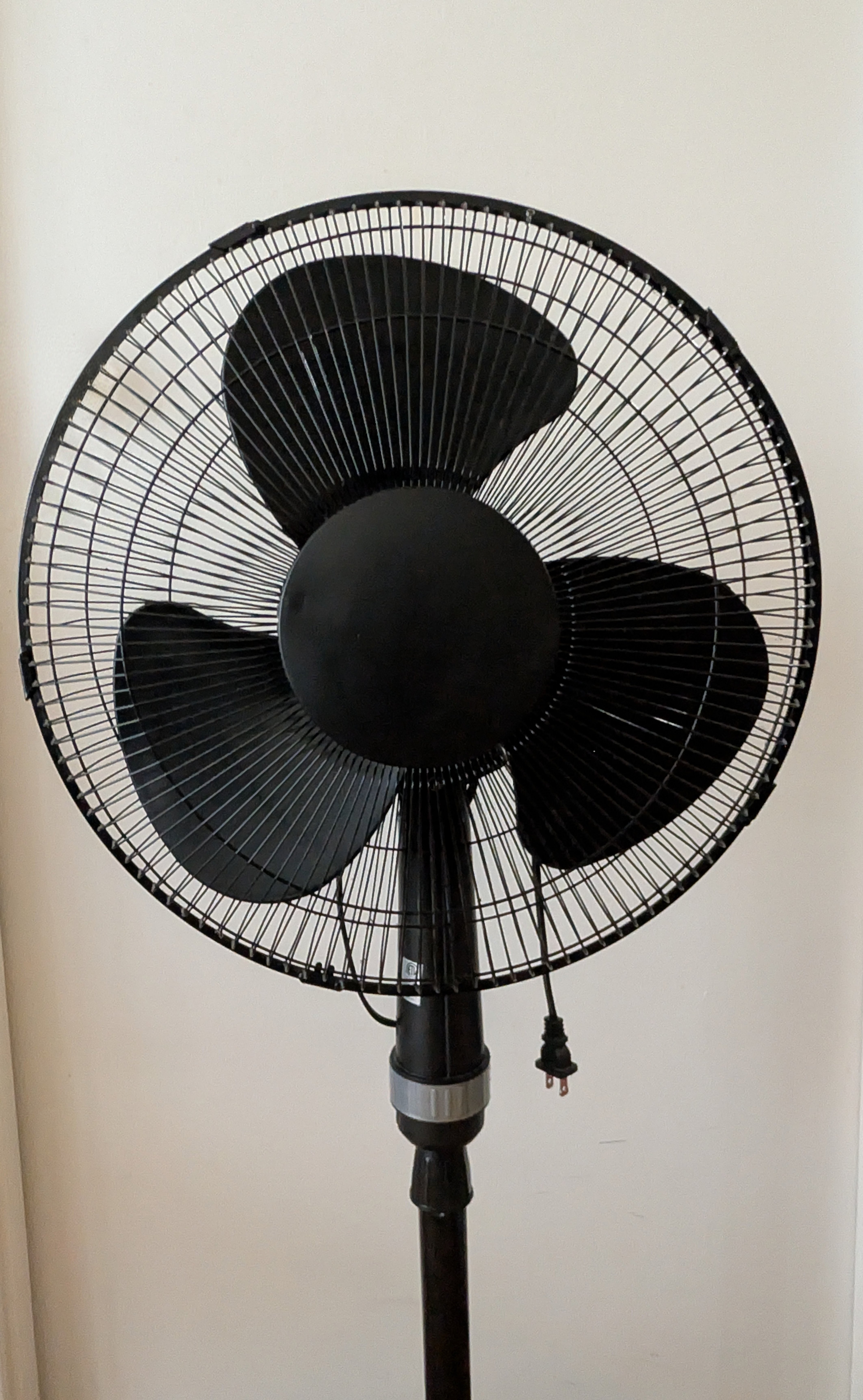 ‼️MOVING OUT SALE‼️ Black Standing Fan - photo 2